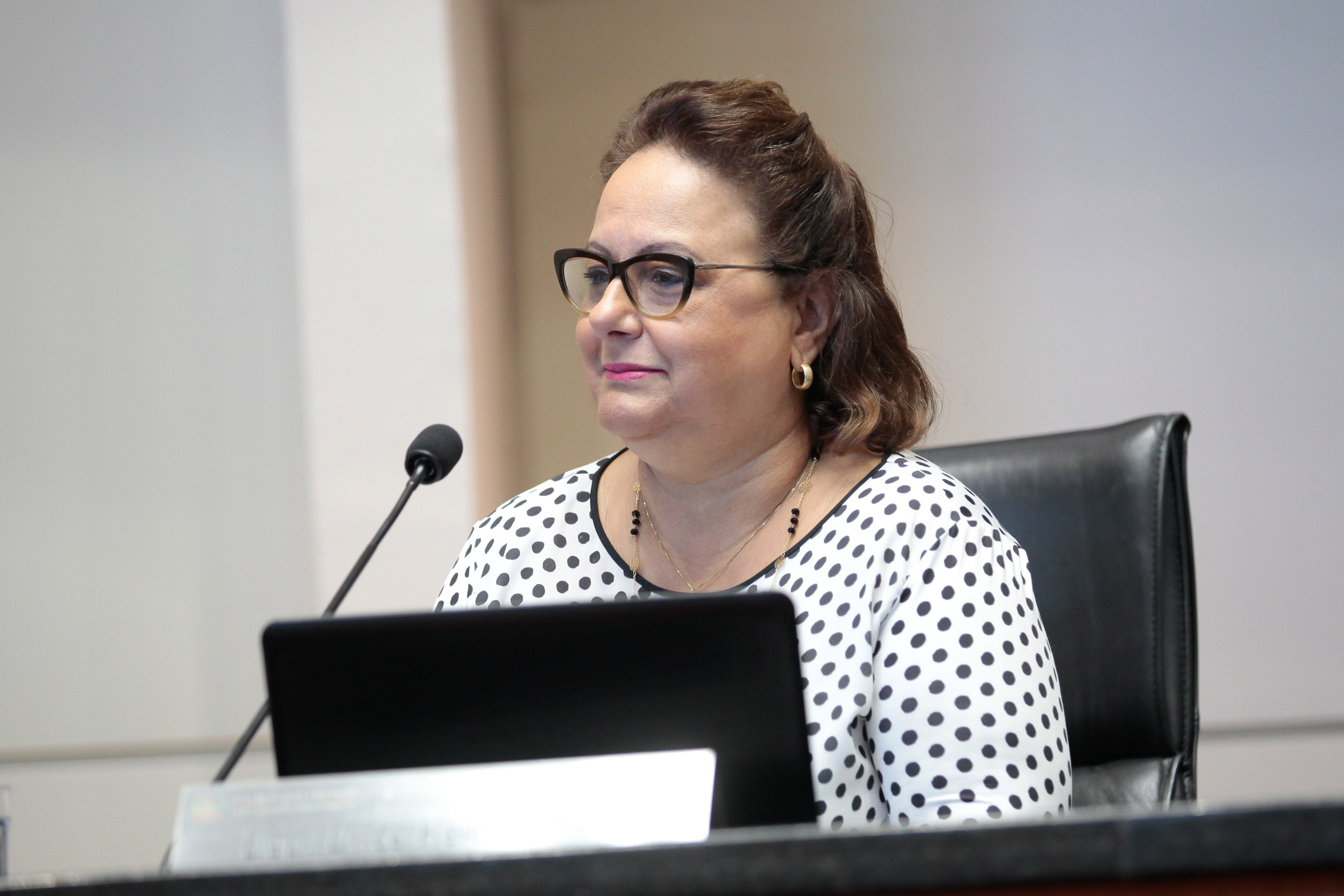 Sessão Plenária