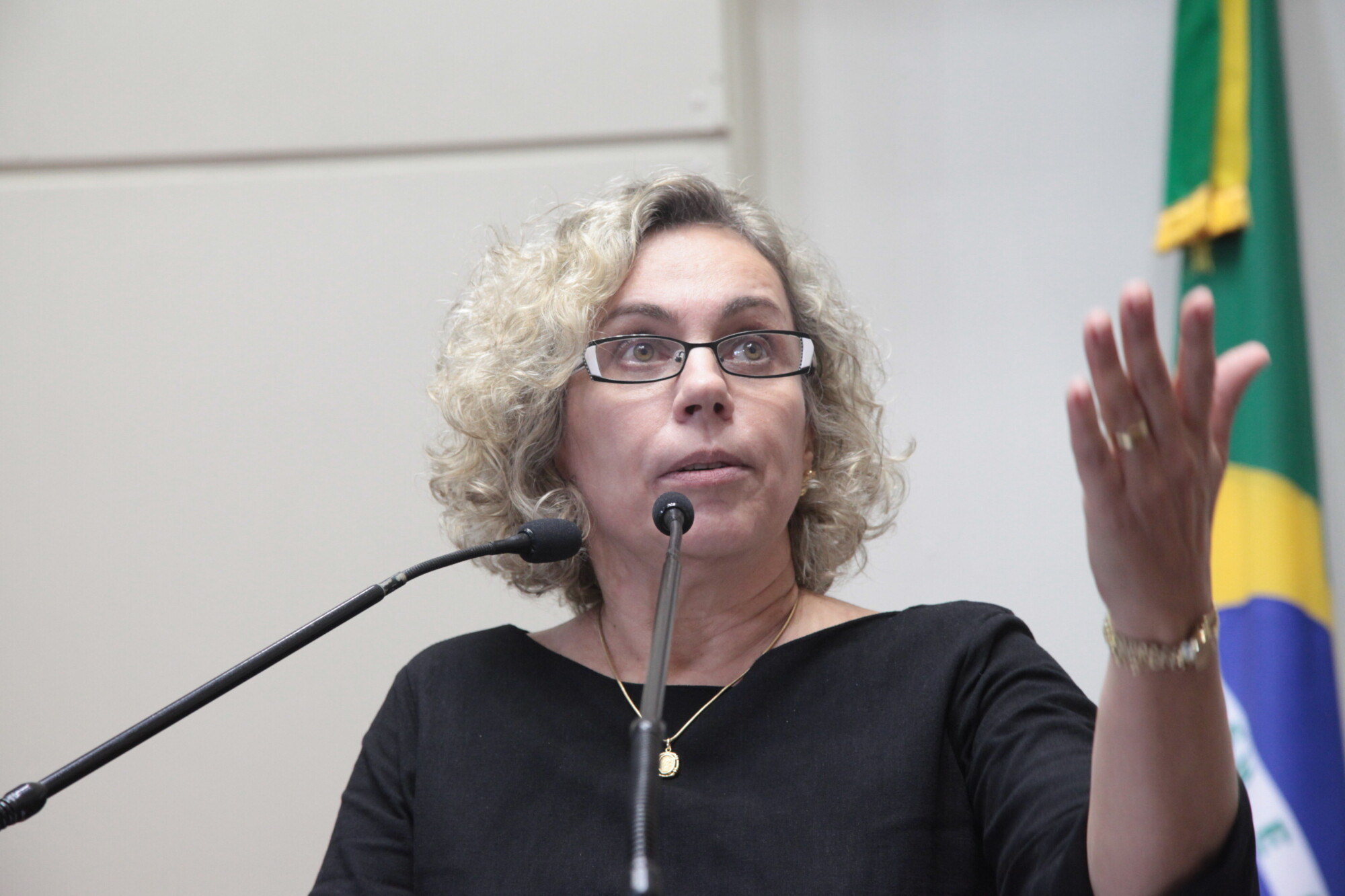 Deputada Ana Paula Lima