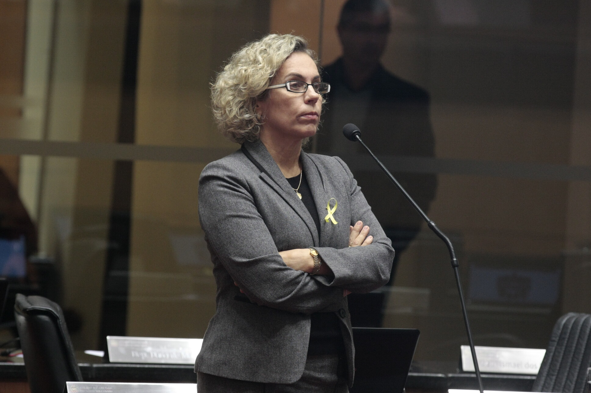 Deputada Ana Paula Lima