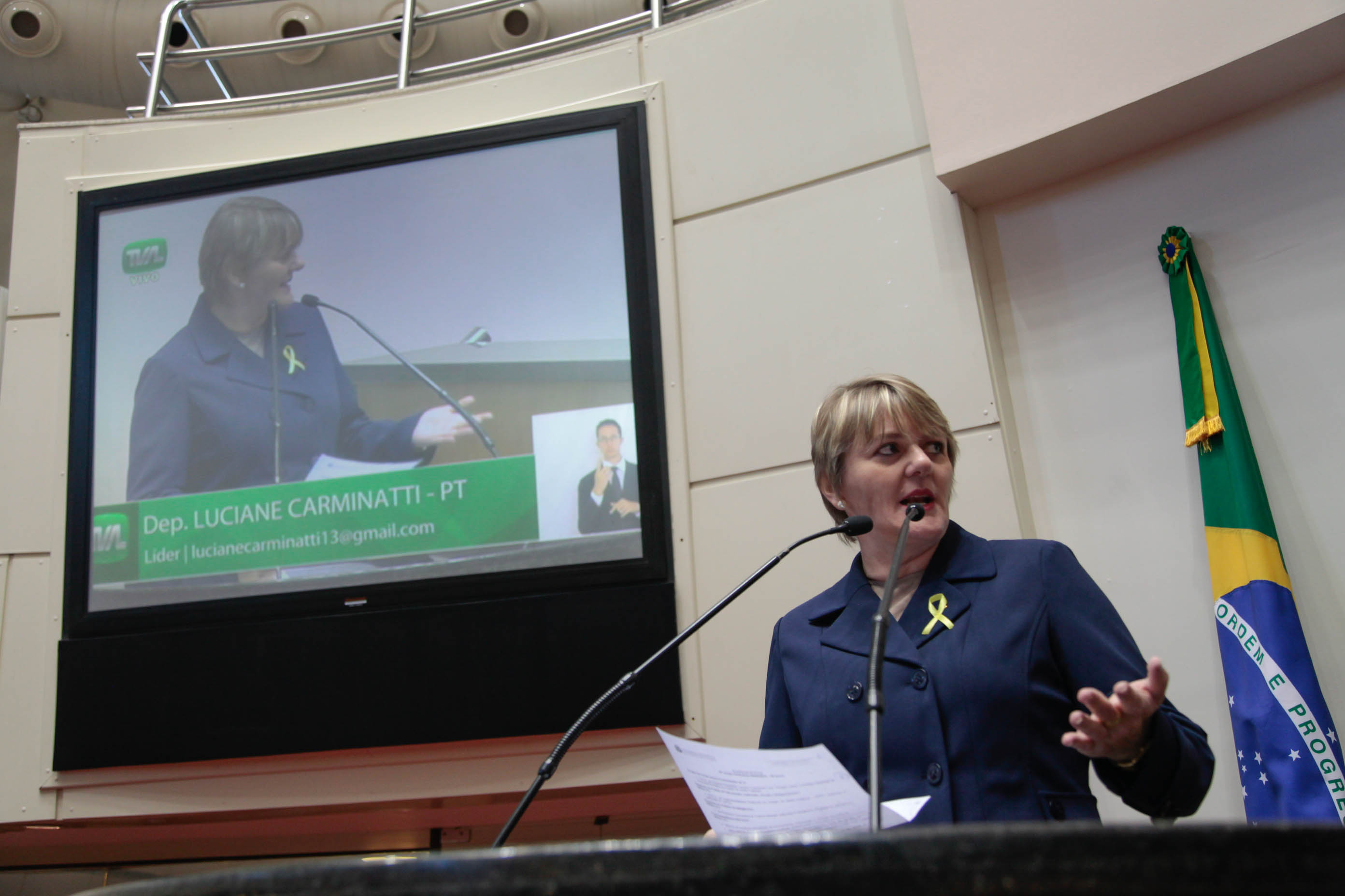 Deputada Luciane Carminatti (PT)