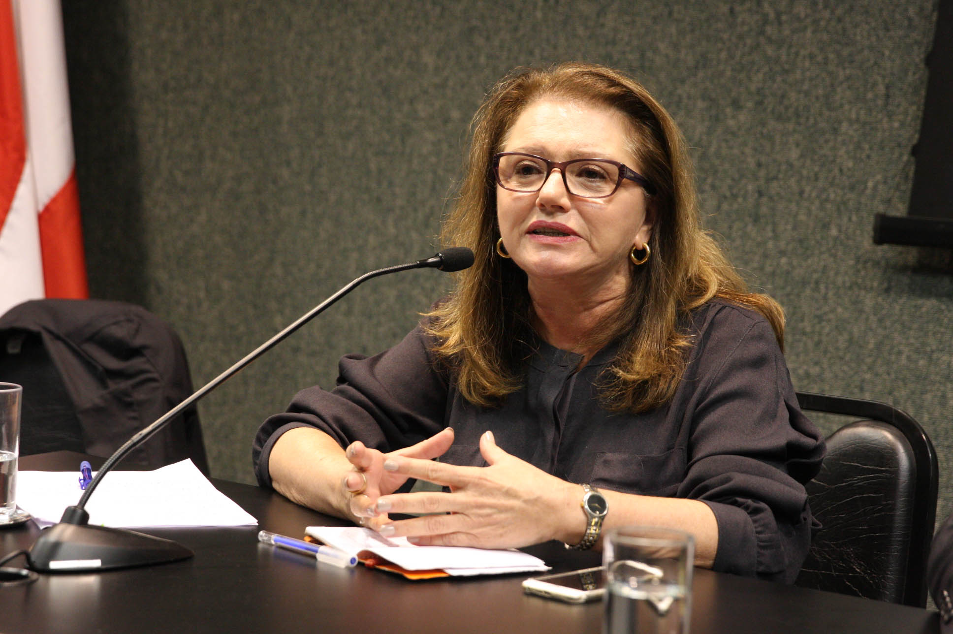 Dra. Marcela Brisighelli Schaefer. Comissão da Saúde - Idade Correta para Exame de Mamografia