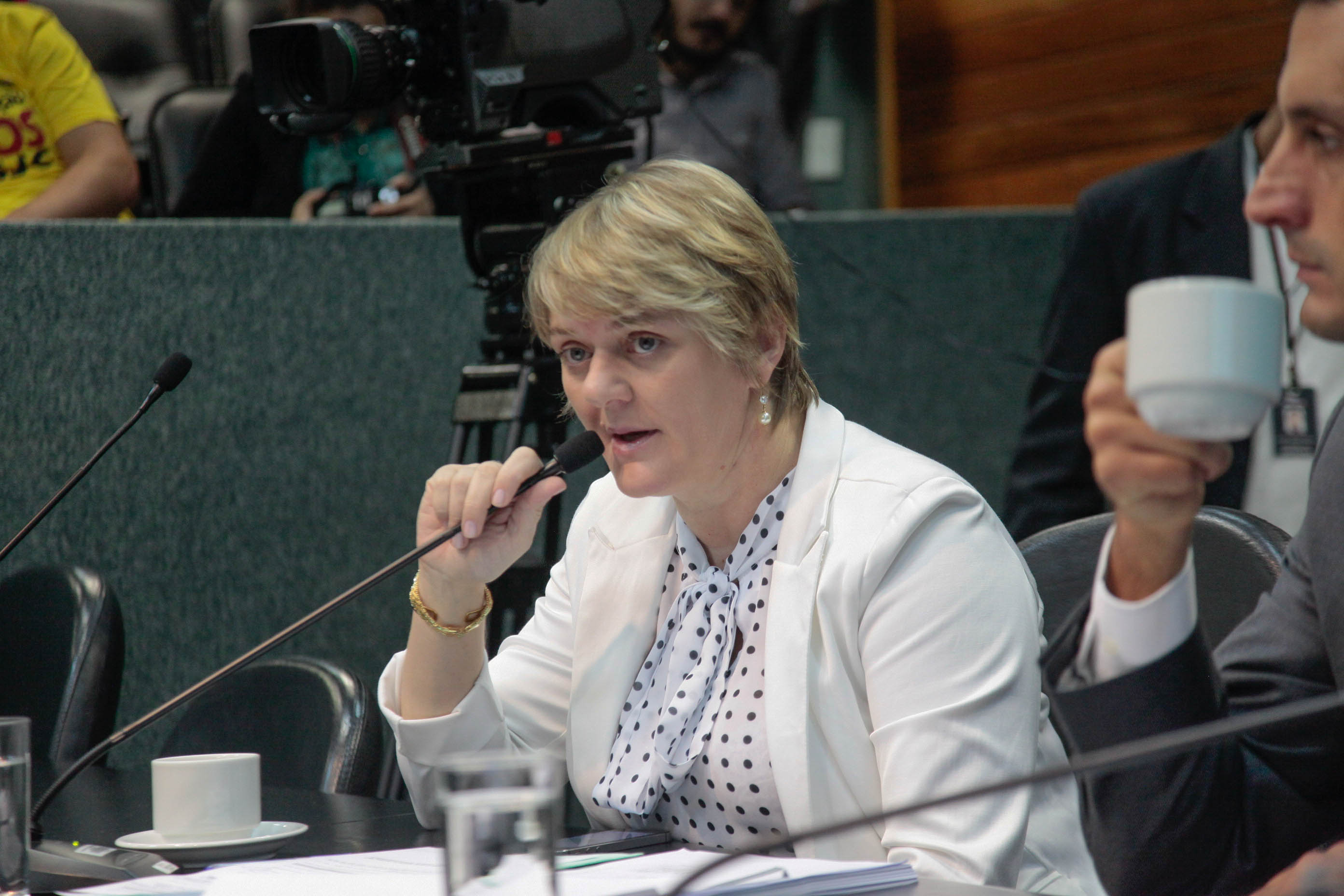 Deputada Luciane Carminatti (PT) em Comissão de Constituição e Justiça