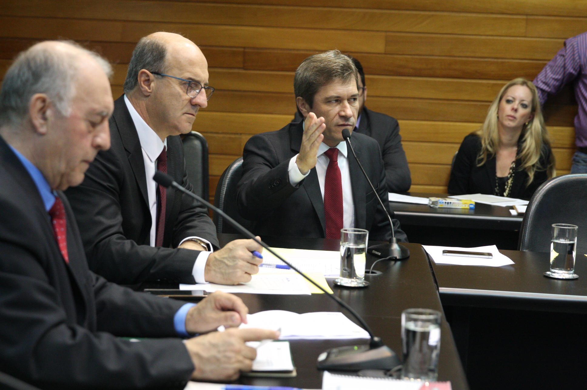 Comissão de Agricultura e Política Rural. Foto: Yuri Santos / Agência AL