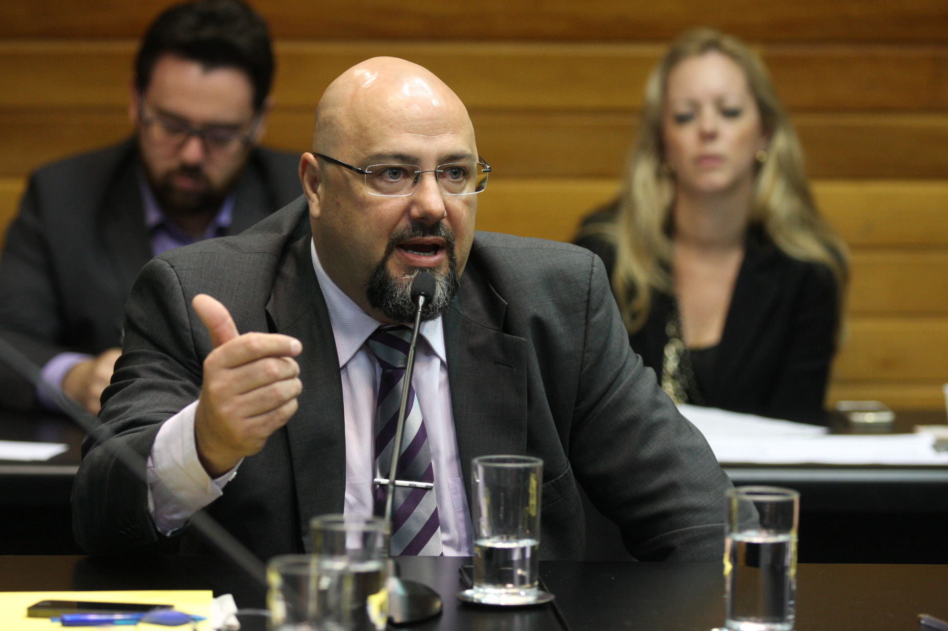 Comissão de Agricultura e Política Rural. Foto: Yuri Santos / Agência AL
