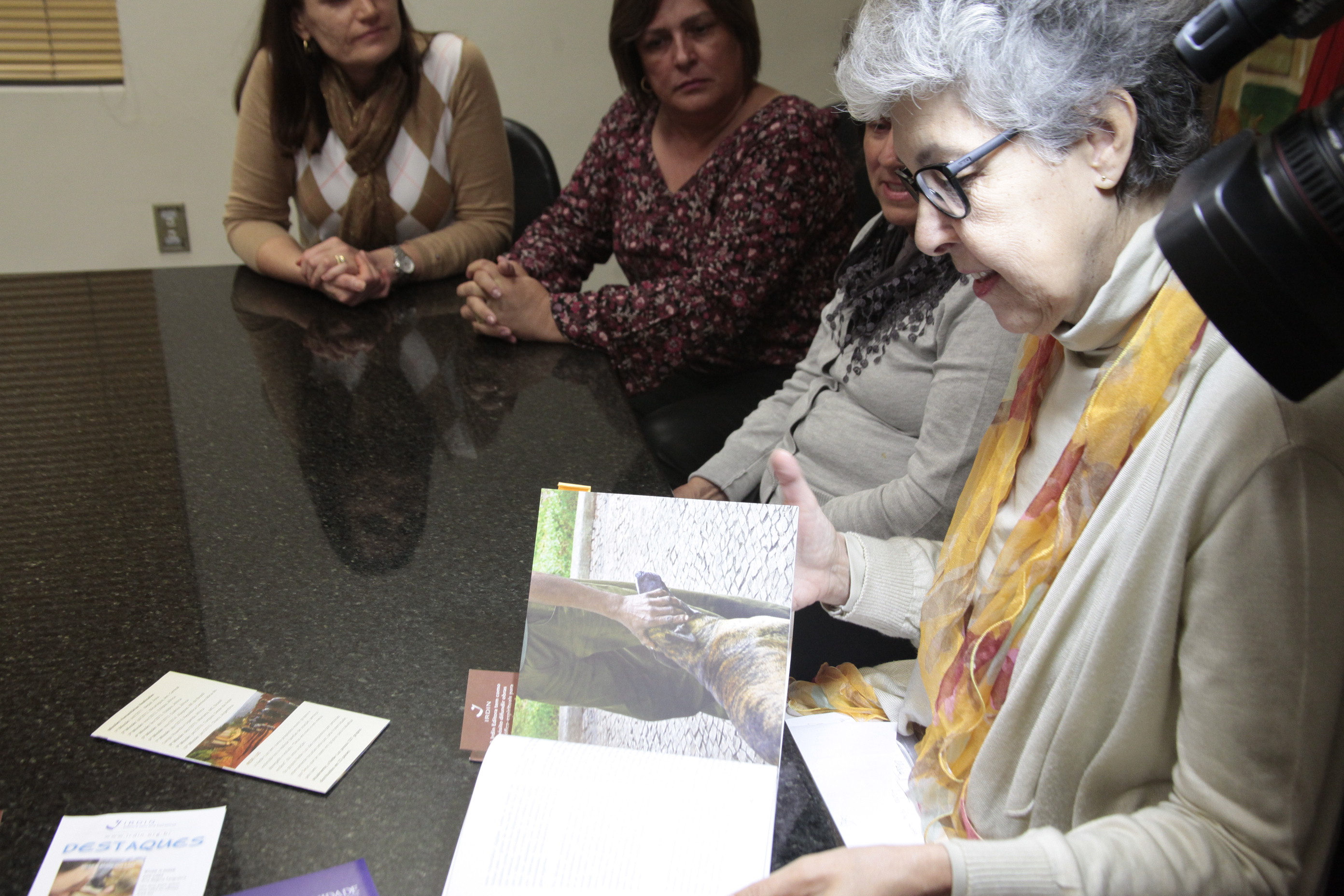 Livro Viver o Amor aos Cães.