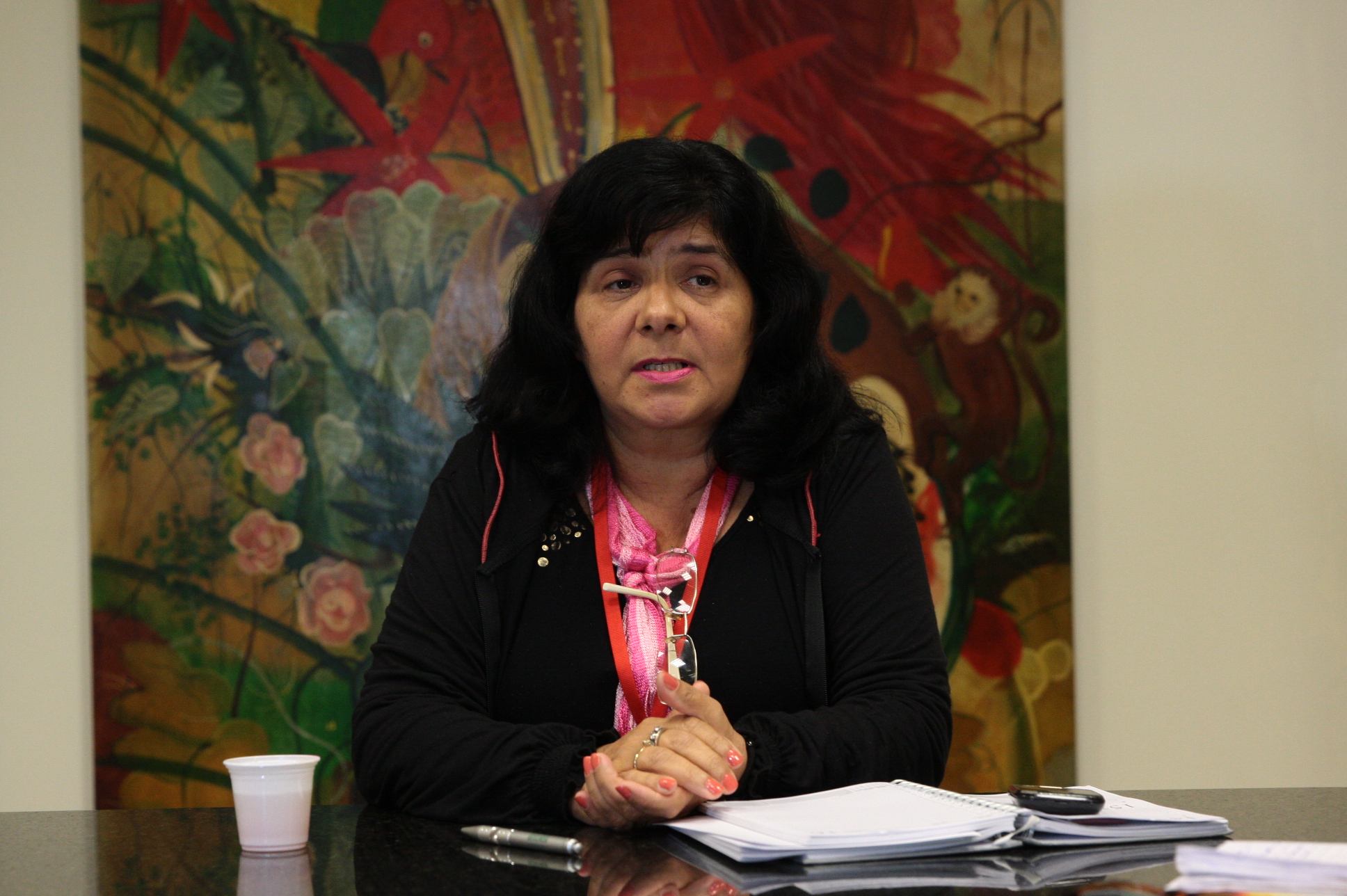 Entrevista com Candinha Marchi, presidente da ACO.