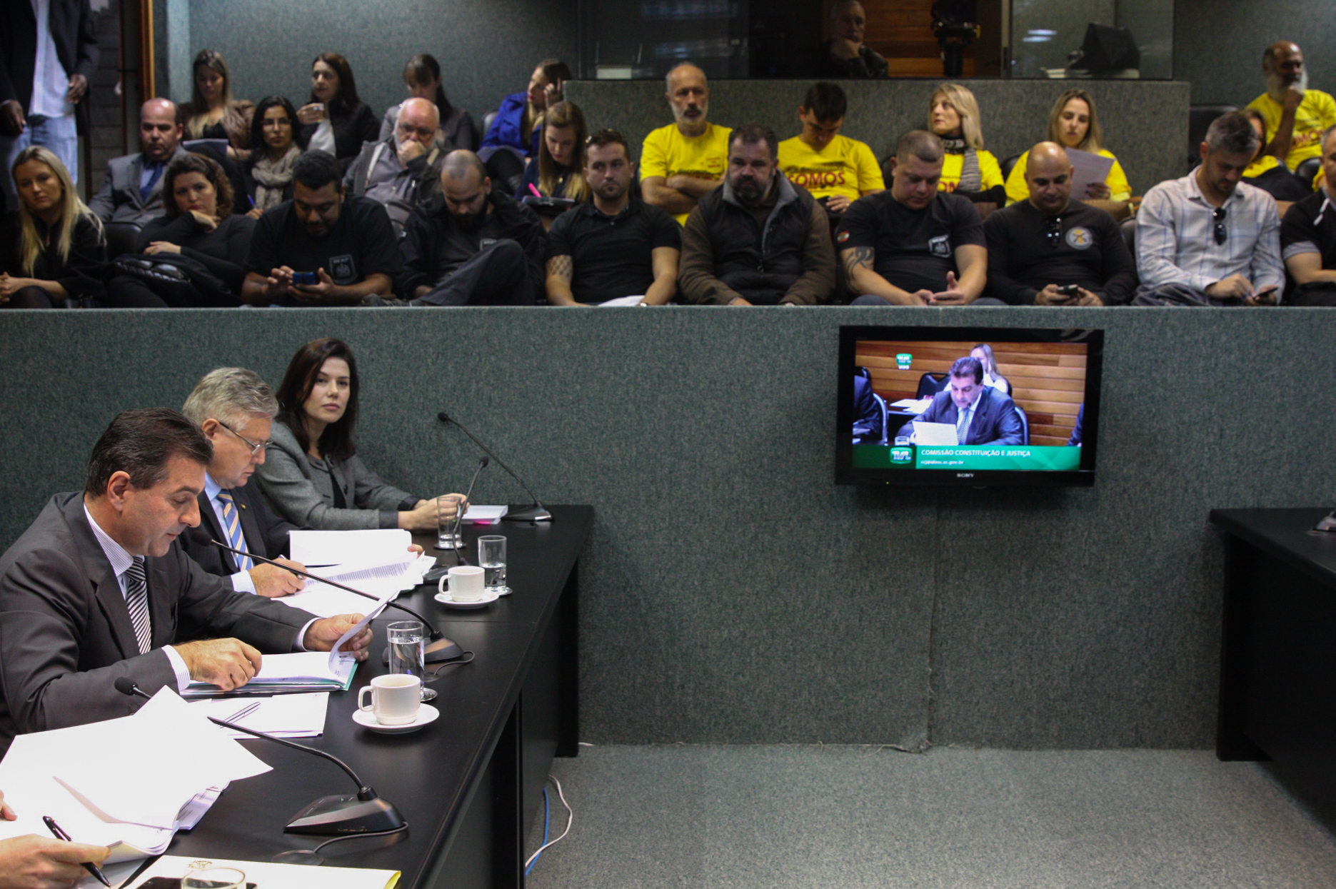 Comissão de Constituição e Justiça.