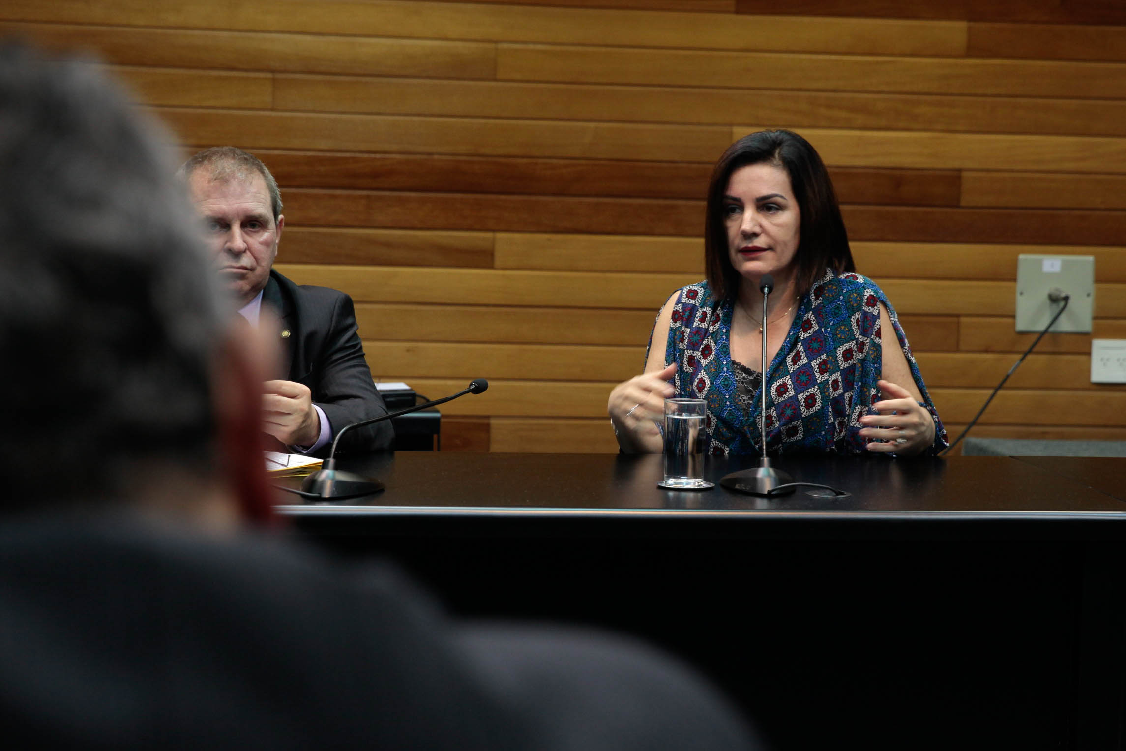 CPI dos Medicamentos. Presidente do Sindicato das Academias de Santa Catarina, Zulma Stolf Fernandes.