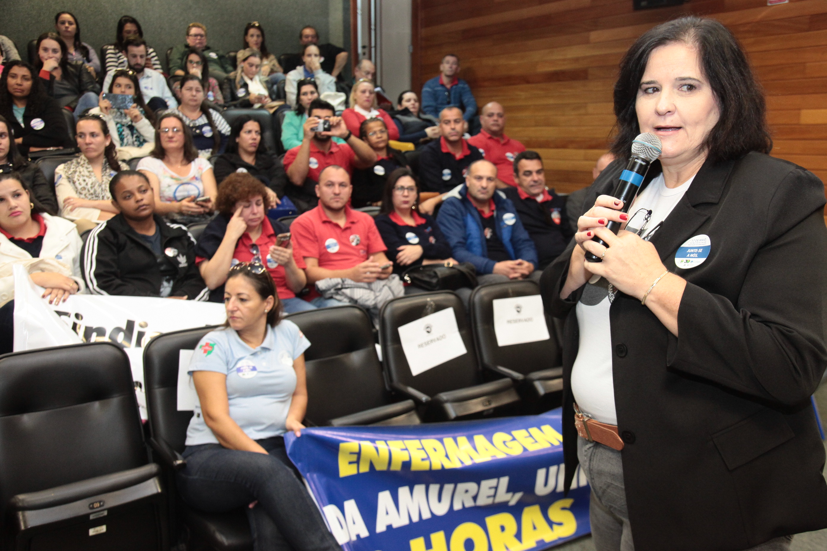 Audiência Pública - Valorização da Enfermagem. Helga Bresciani.
