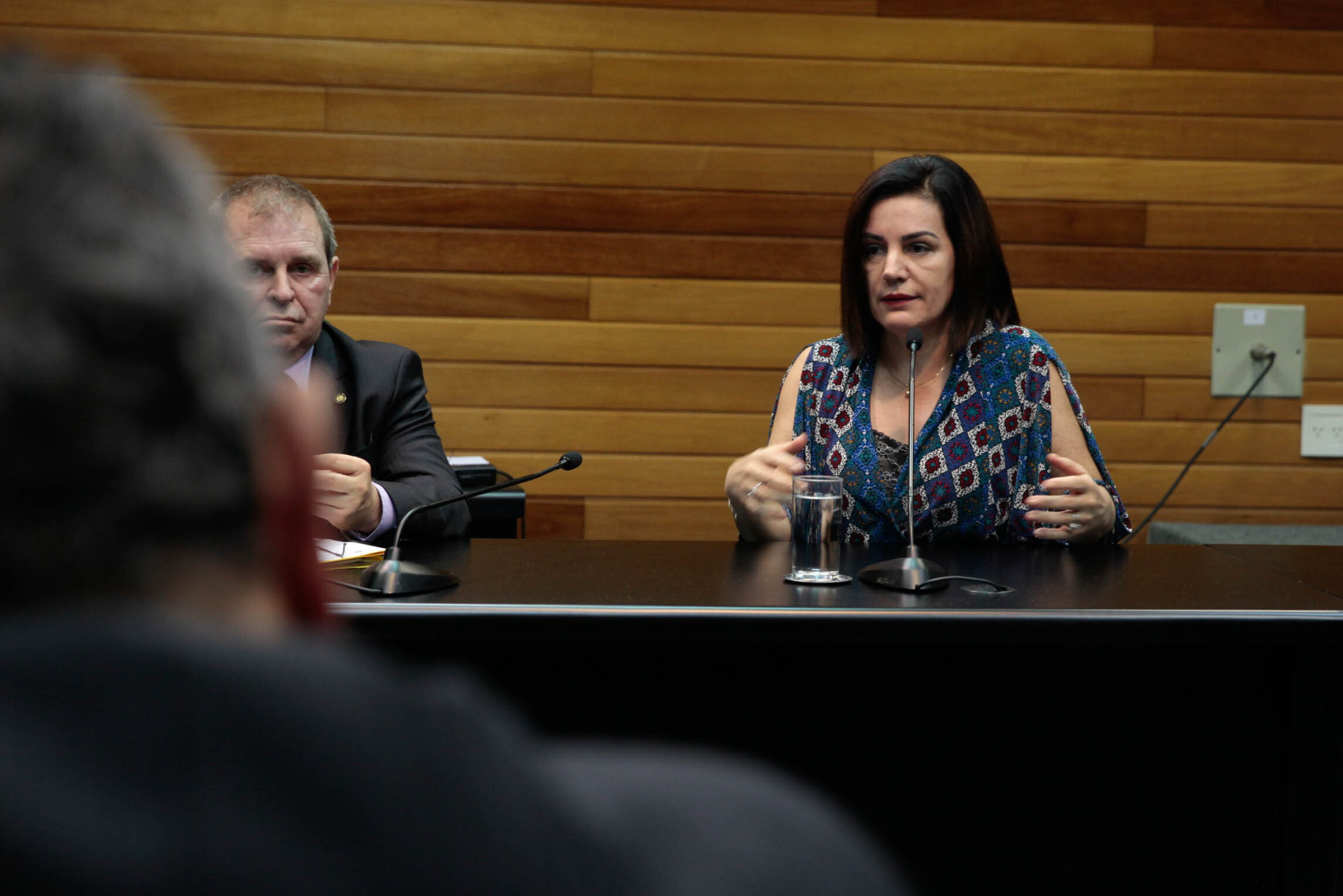 CPI ouve presidente do Sindicato das Academias do Estado