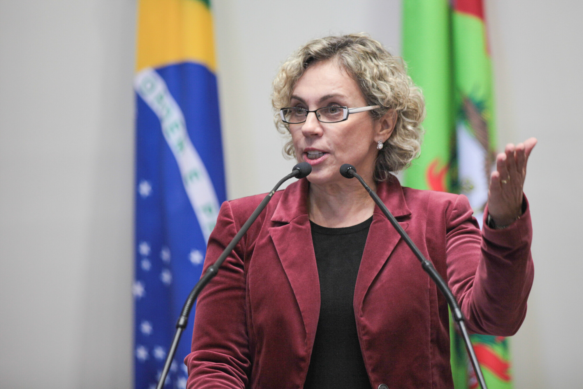 Deputada Ana Paula Lima