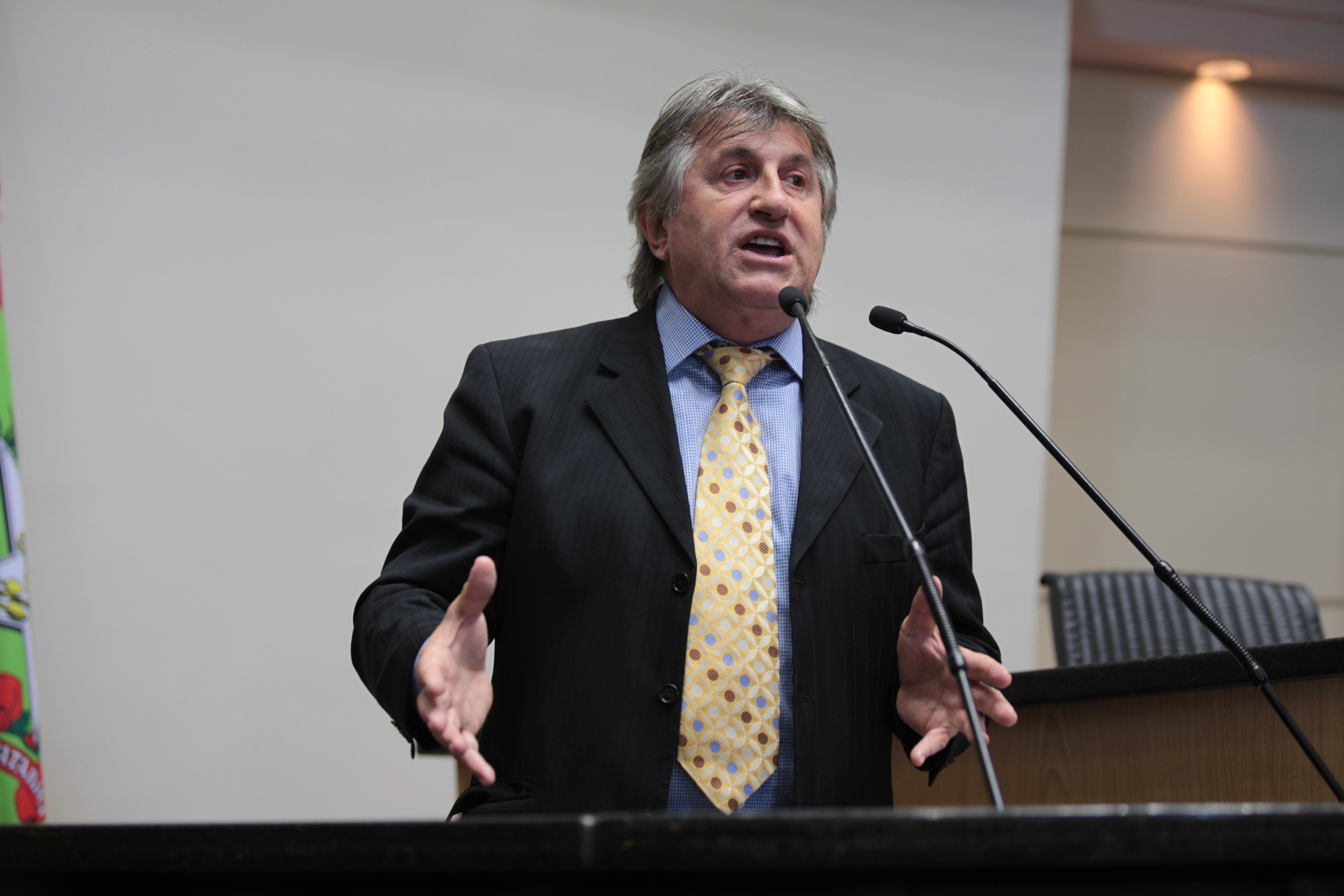 Sessão Ordinária. Deputado Leonel Pavan(PSDB).