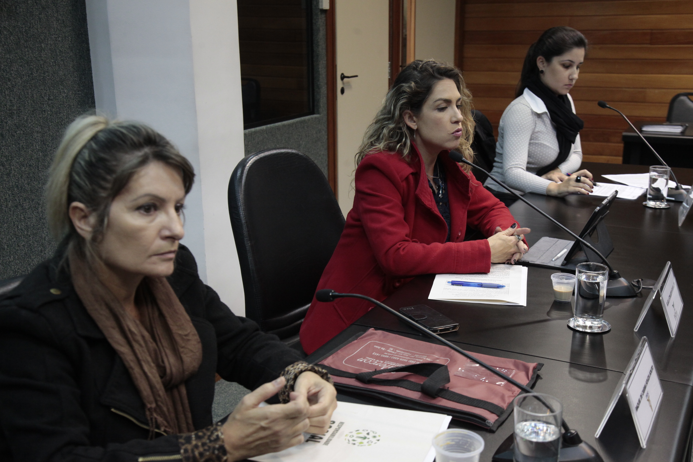 Reunião da Comissão Mista de Certificação de Responsabilidade Social.