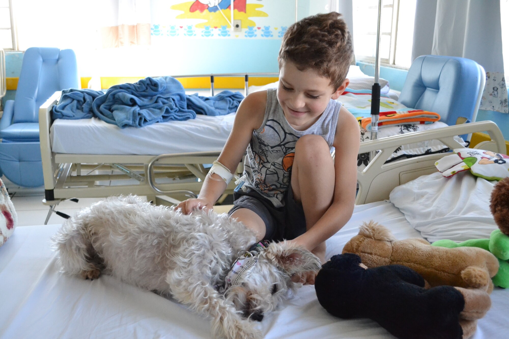 Cão Terapia no Hospital Infantil Seara do Bem, de Lages FOTO: Mirella Guedes/Ascom Udesc