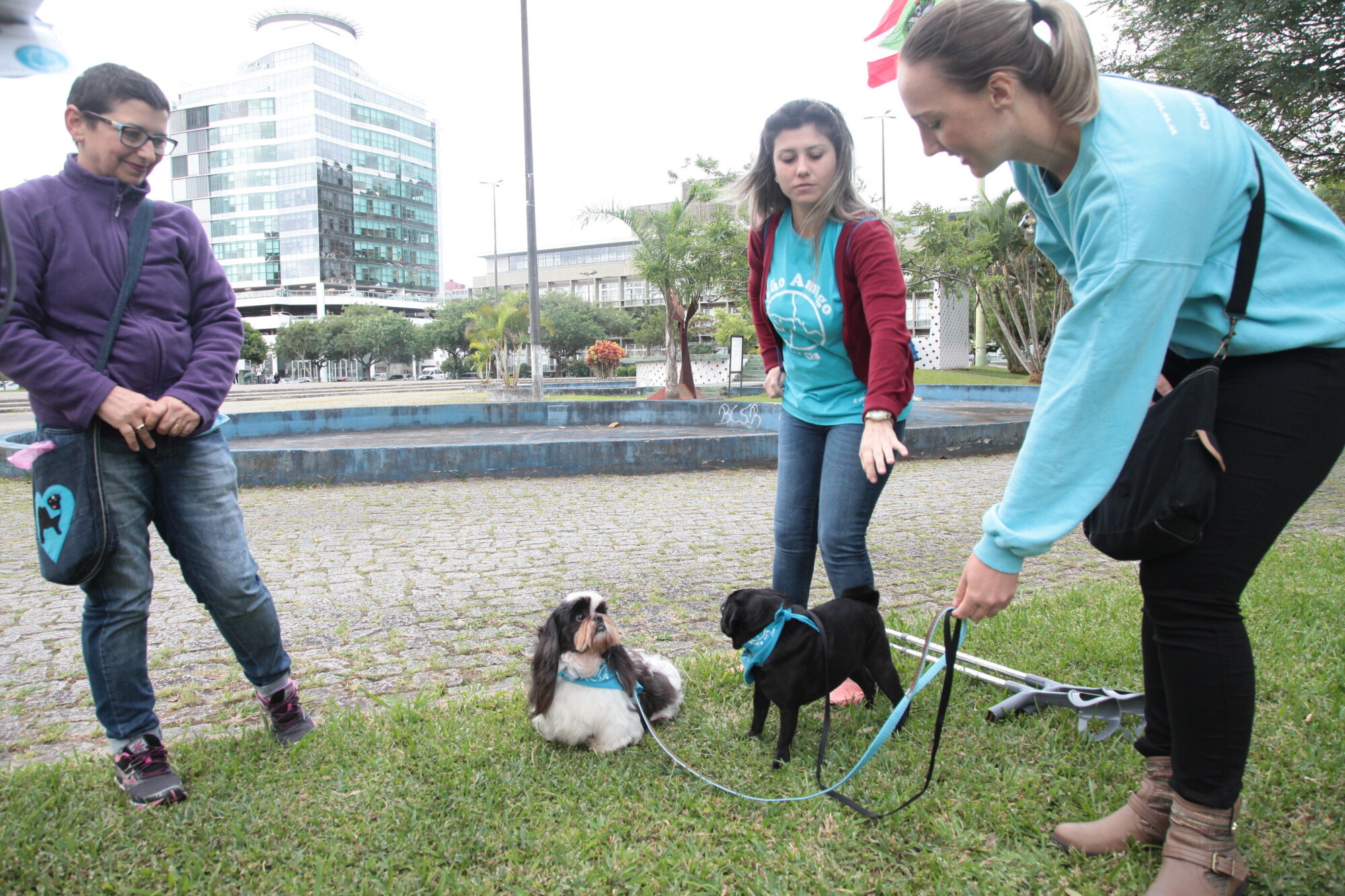 Terapia assistida por animais contribui na recuperação de pacientes