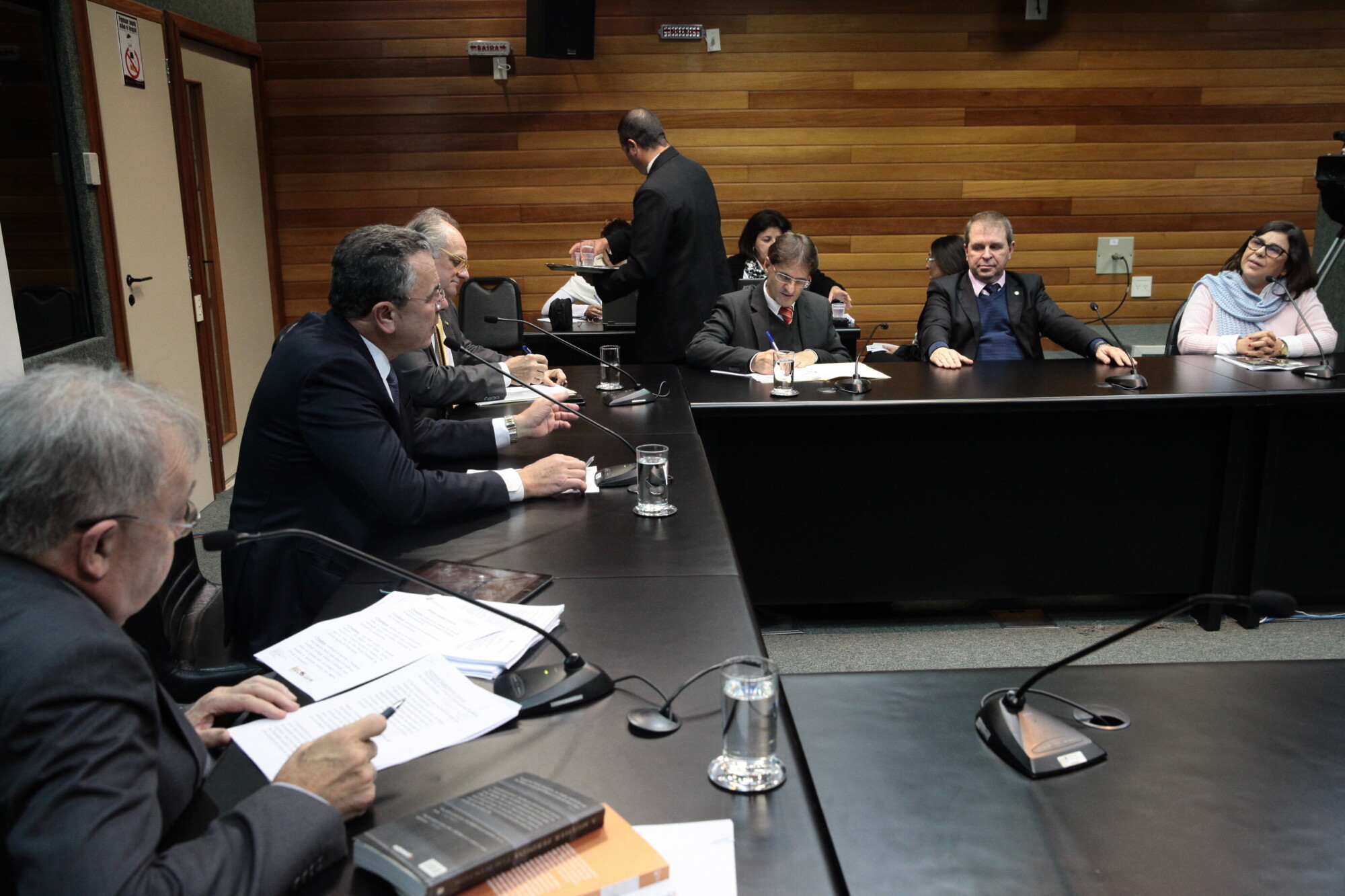 Representantes dos Conselhos de Farmácia e de Nutrição depõem em CPI