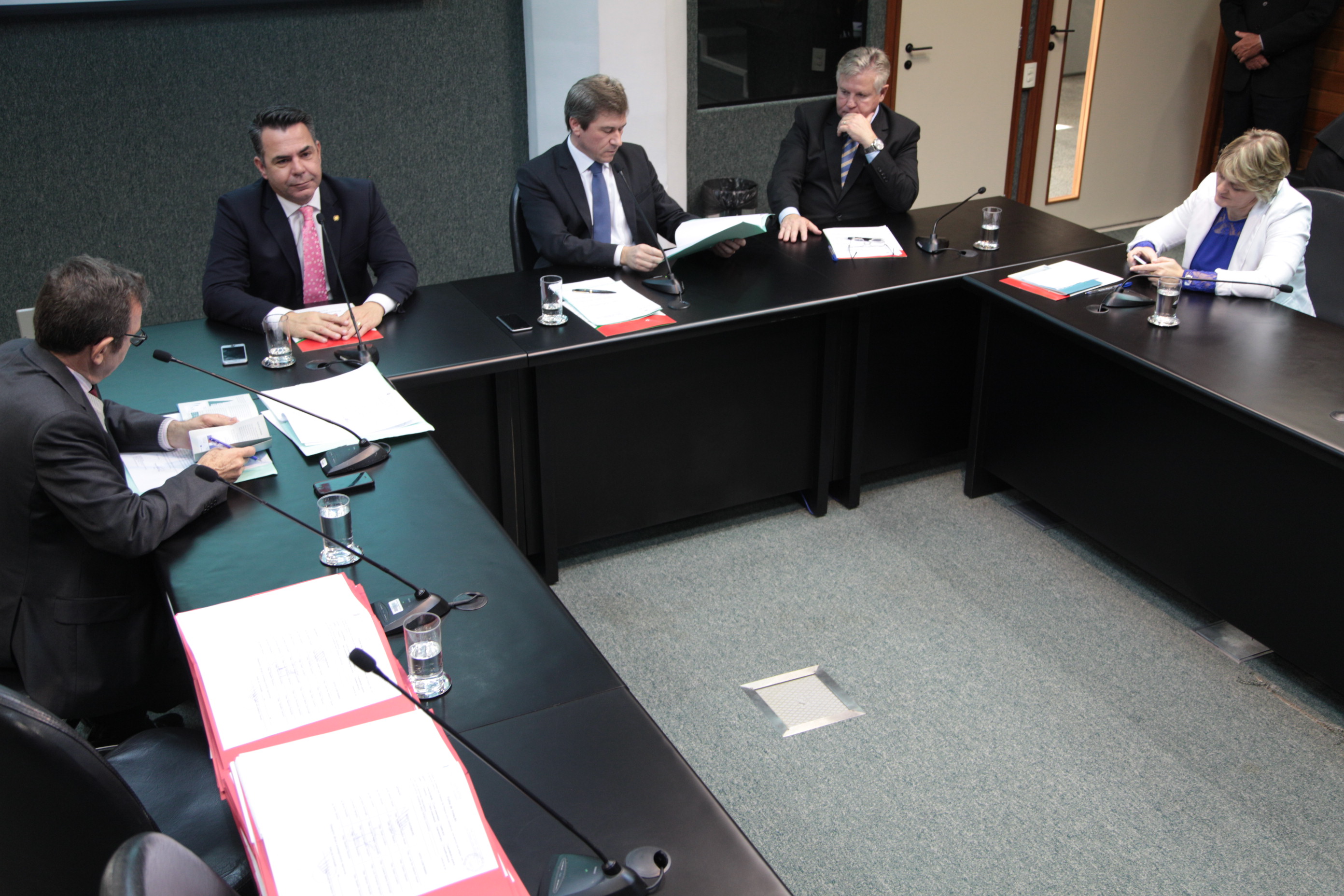 Comissão de Defesa dos Direitos da Pessoa com Deficiência. Foto: Miriam Zomer / Agência AL