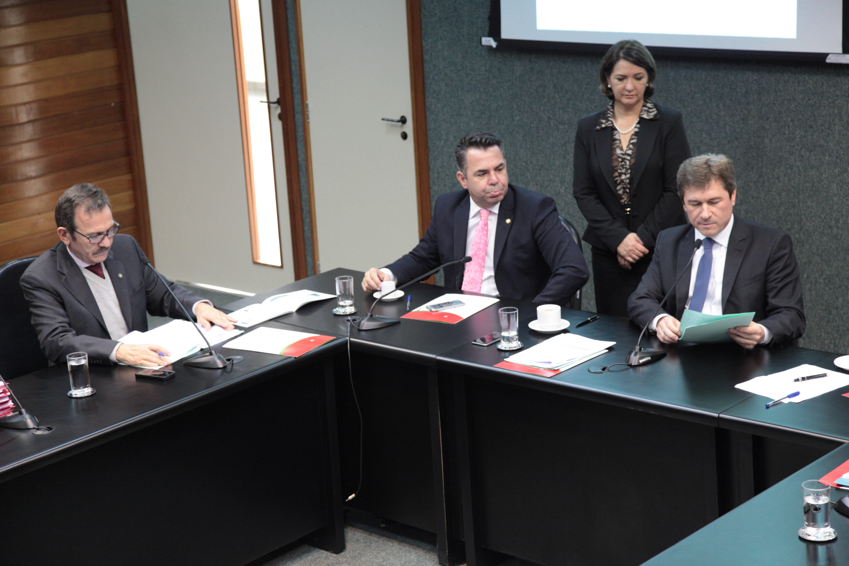 Comissão de Defesa dos Direitos da Pessoa com Deficiência. Foto: Miriam Zomer / Agência AL