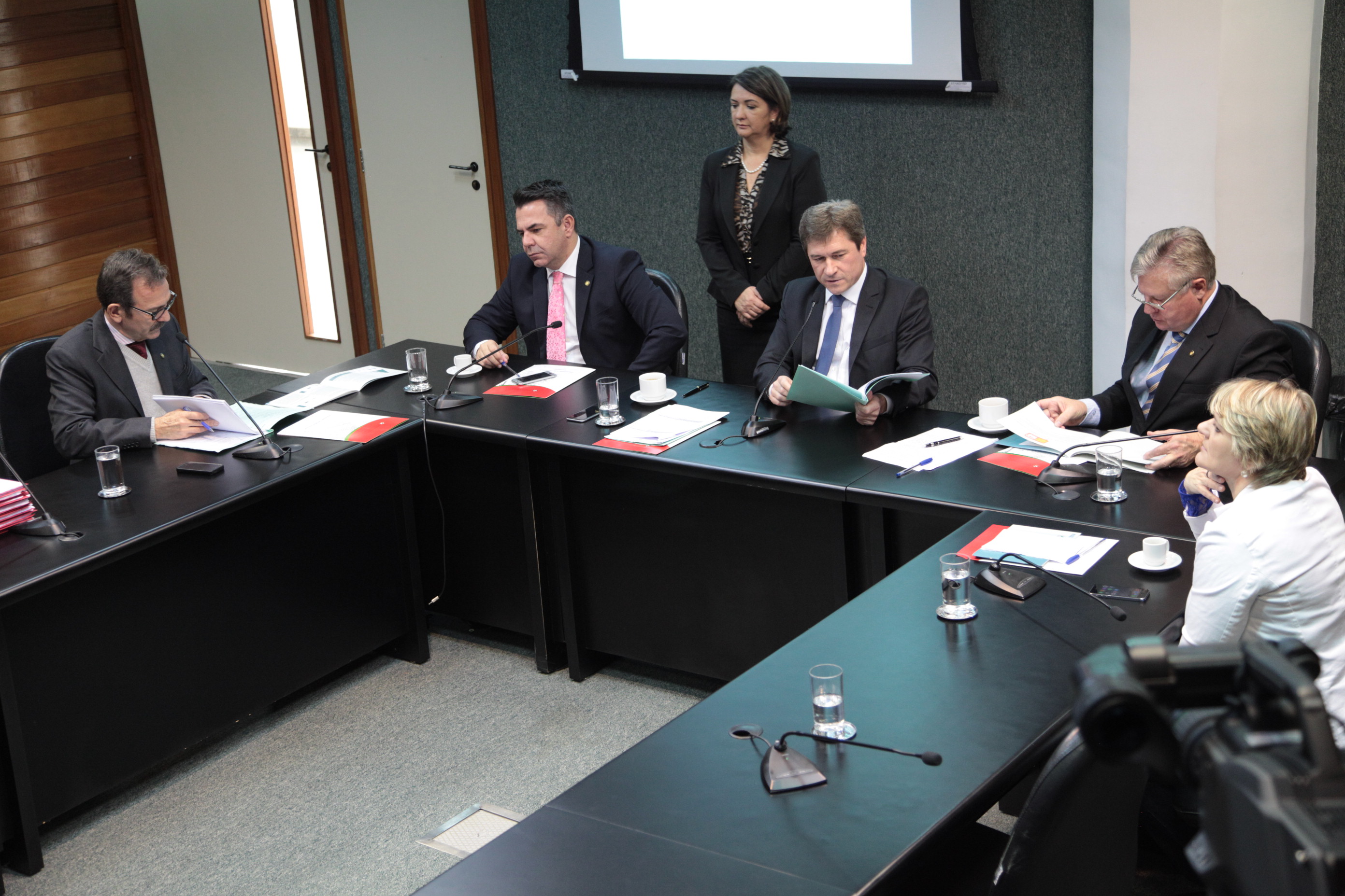 Comissão de Defesa dos Direitos da Pessoa com Deficiência. Foto: Miriam Zomer / Agência AL