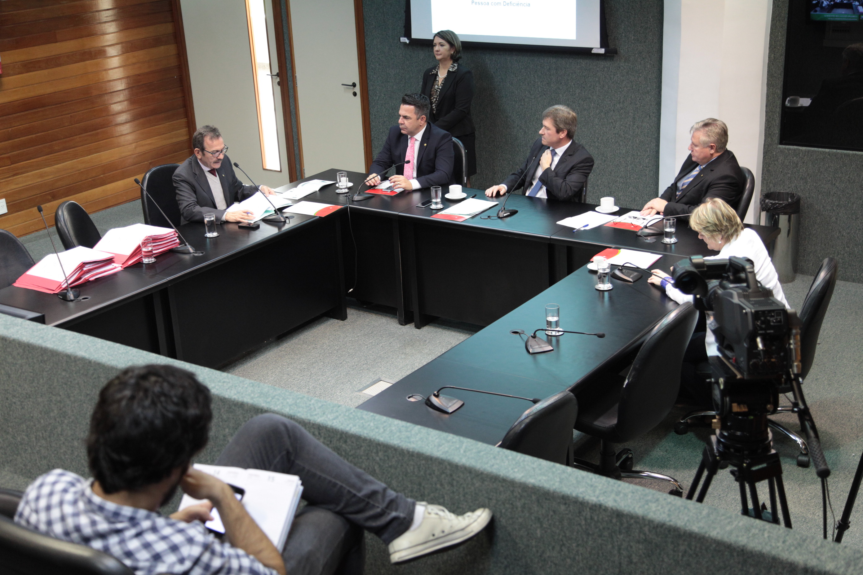 Comissão de Defesa dos Direitos da Pessoa com Deficiência. Foto: Miriam Zomer / Agência AL