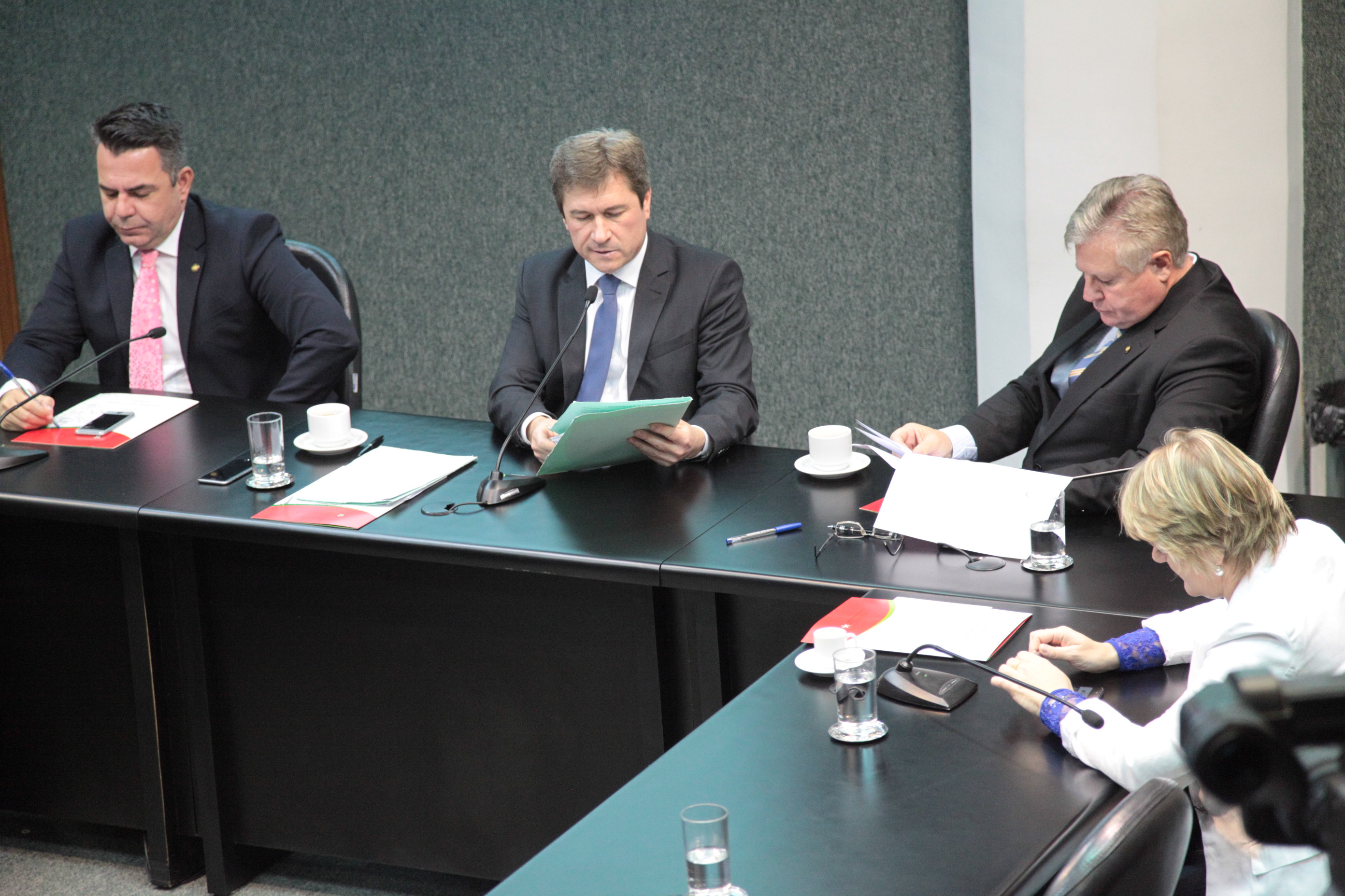 Comissão de Defesa dos Direitos da Pessoa com Deficiência. Foto: Miriam Zomer / Agência AL