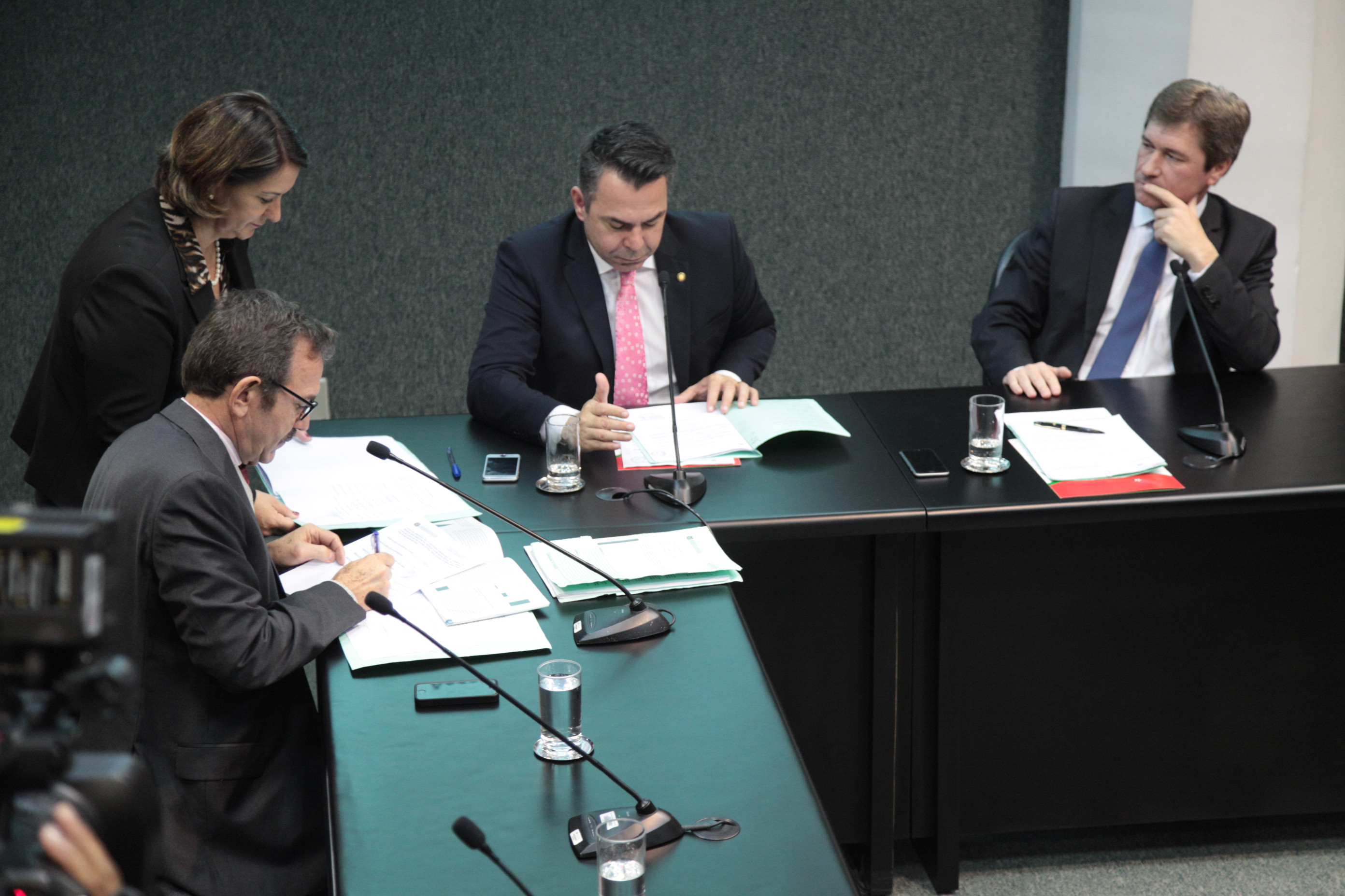 Comissão de Defesa dos Direitos da Pessoa com Deficiência. Foto: Miriam Zomer / Agência AL