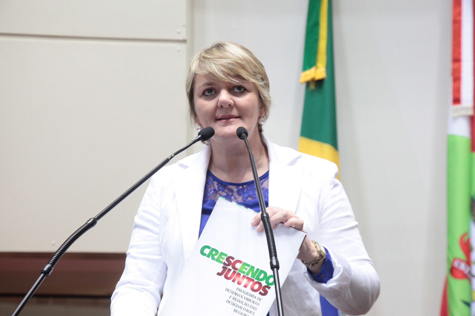 Deputada Luciane Carminatti