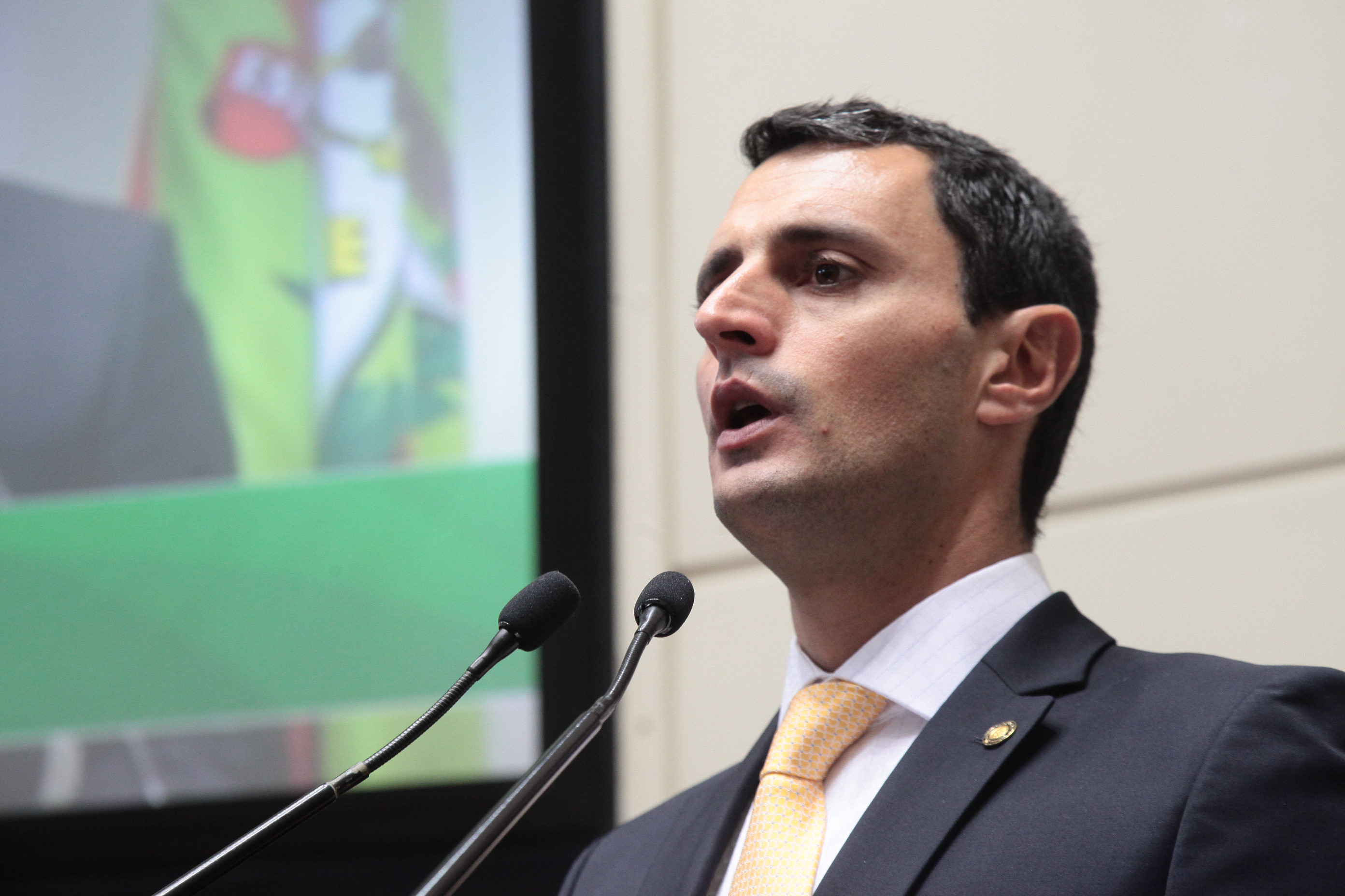 Sessão Ordinária. Deputado João Amin (PP)
