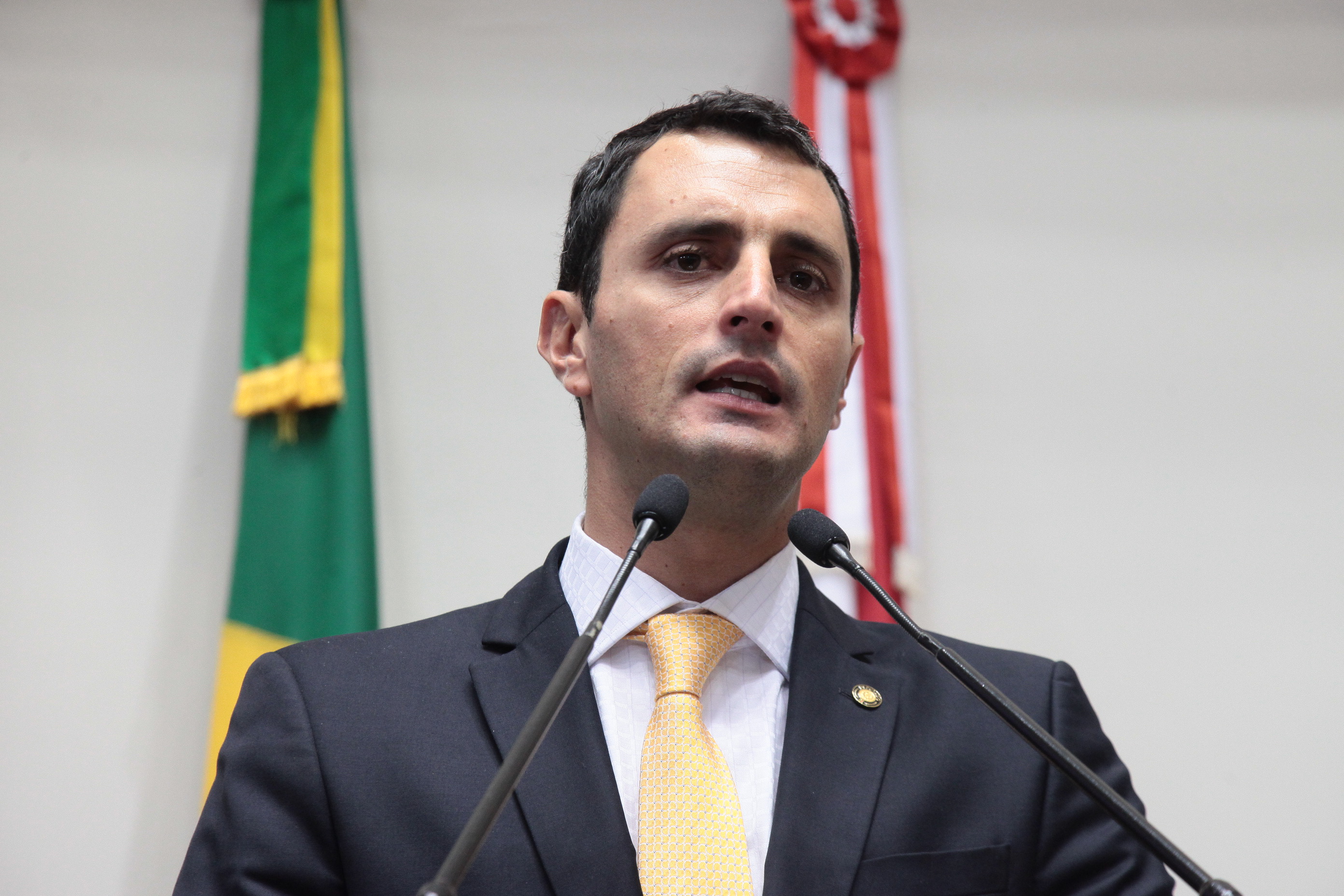 Sessão Ordinária. Deputado João Amin (PP)