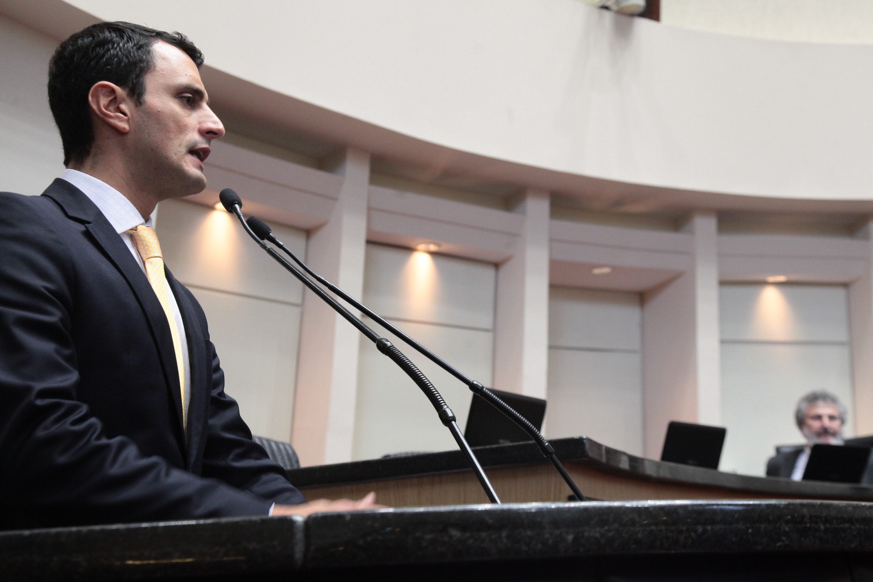 Sessão Ordinária. Deputado João Amin (PP)