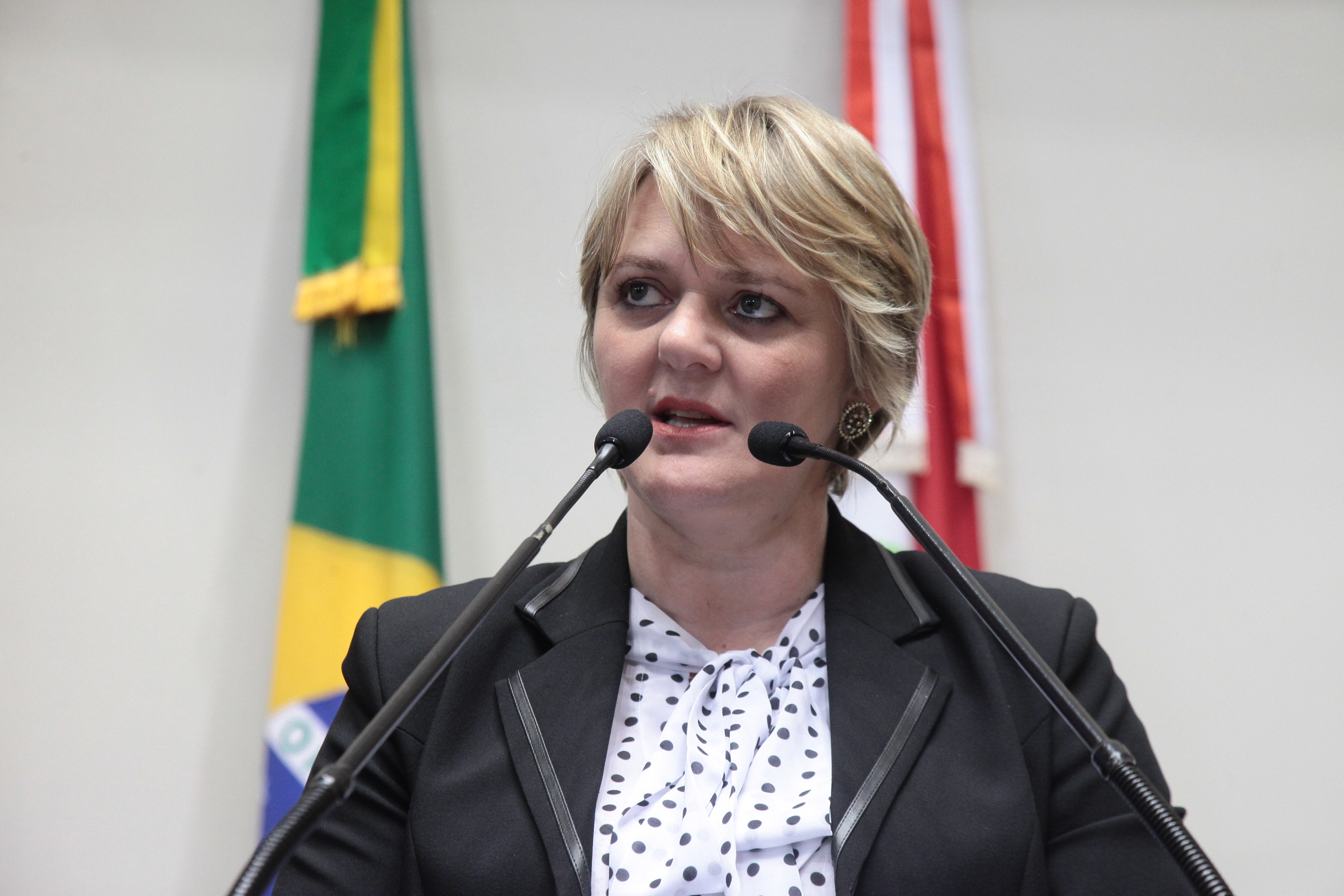 Sessão Ordinária. Deputada Luciane Carminatti (PT)