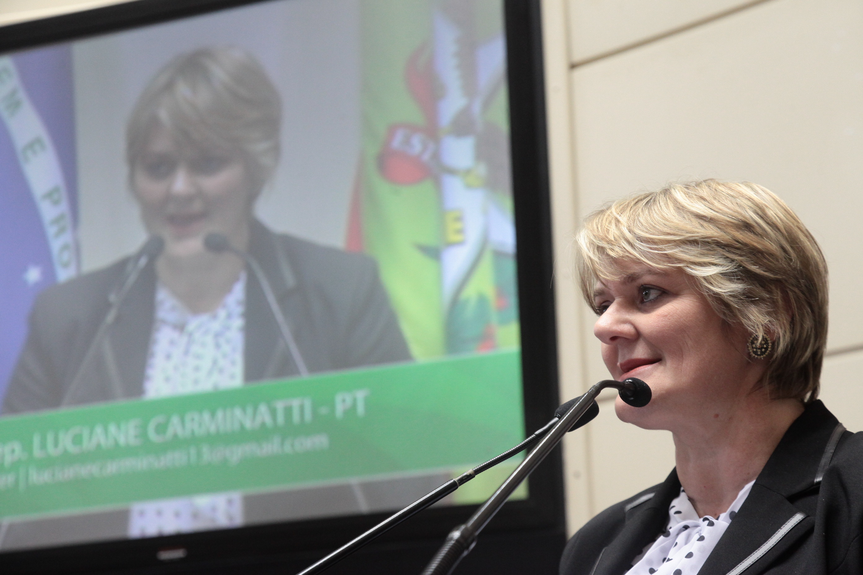 Sessão Ordinária. Deputada Luciane Carminatti (PT)