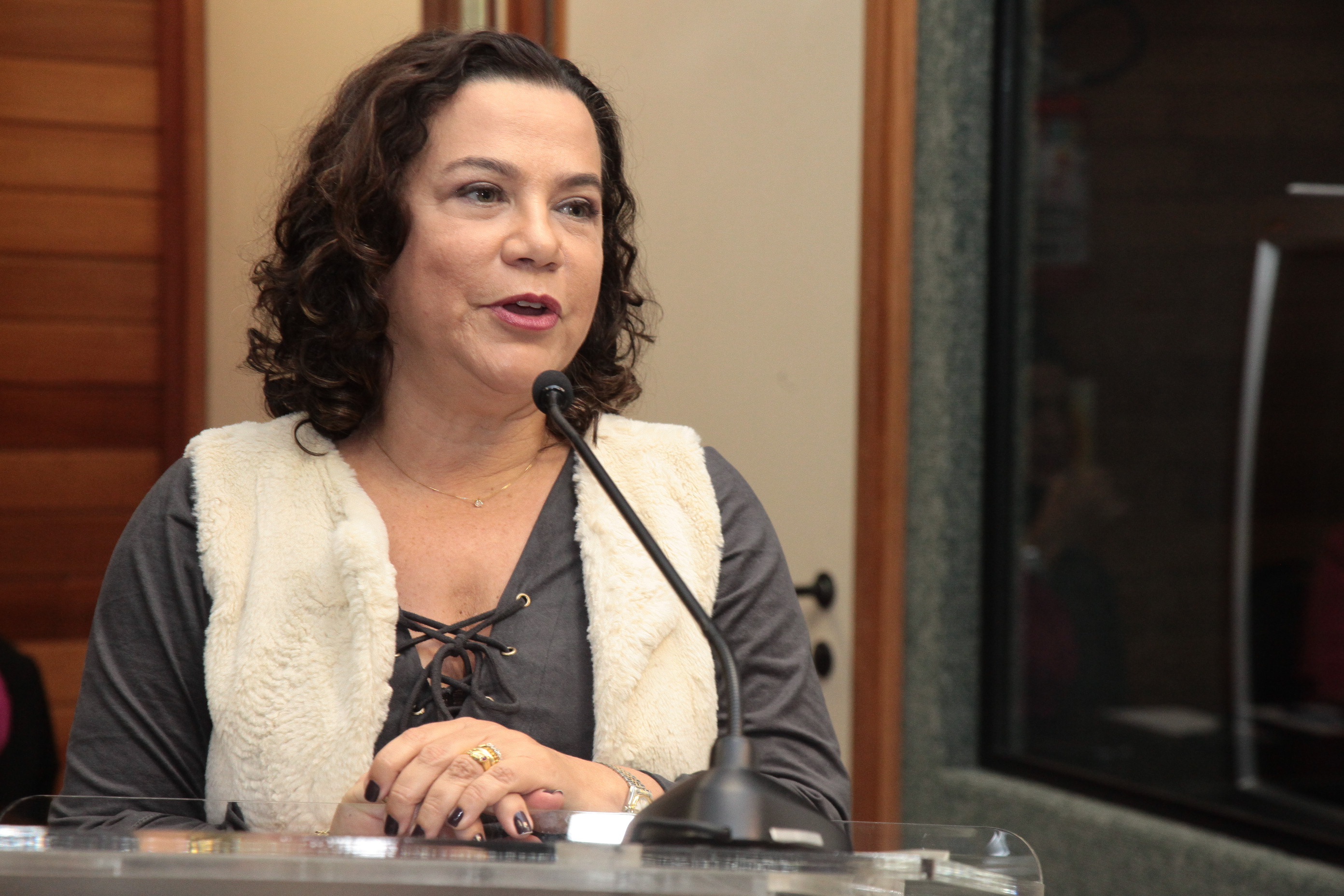 Audiência Pública para Prestação de Contas da Secretaria de Saúde - 1° Quadrimestre de 2016.