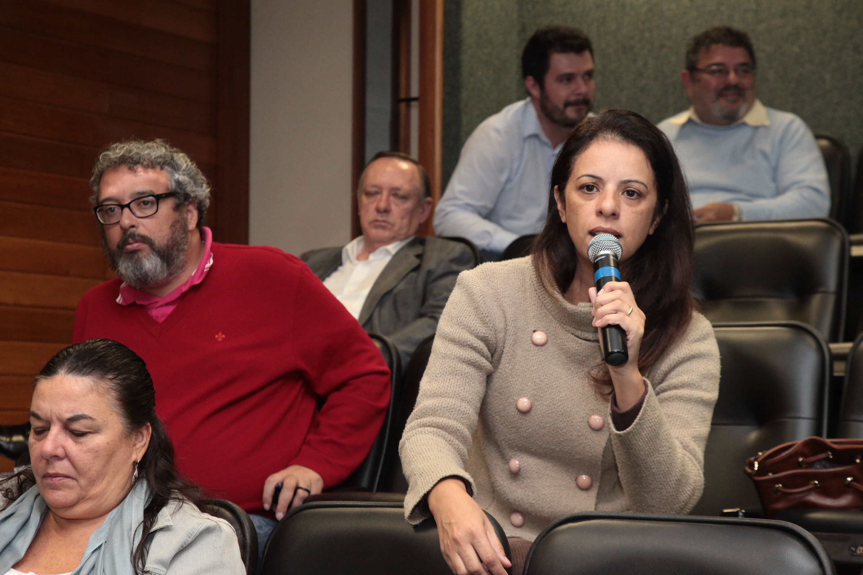 Audiência Pública para Prestação de Contas da Secretaria de Saúde - 1° Quadrimestre de 2016.