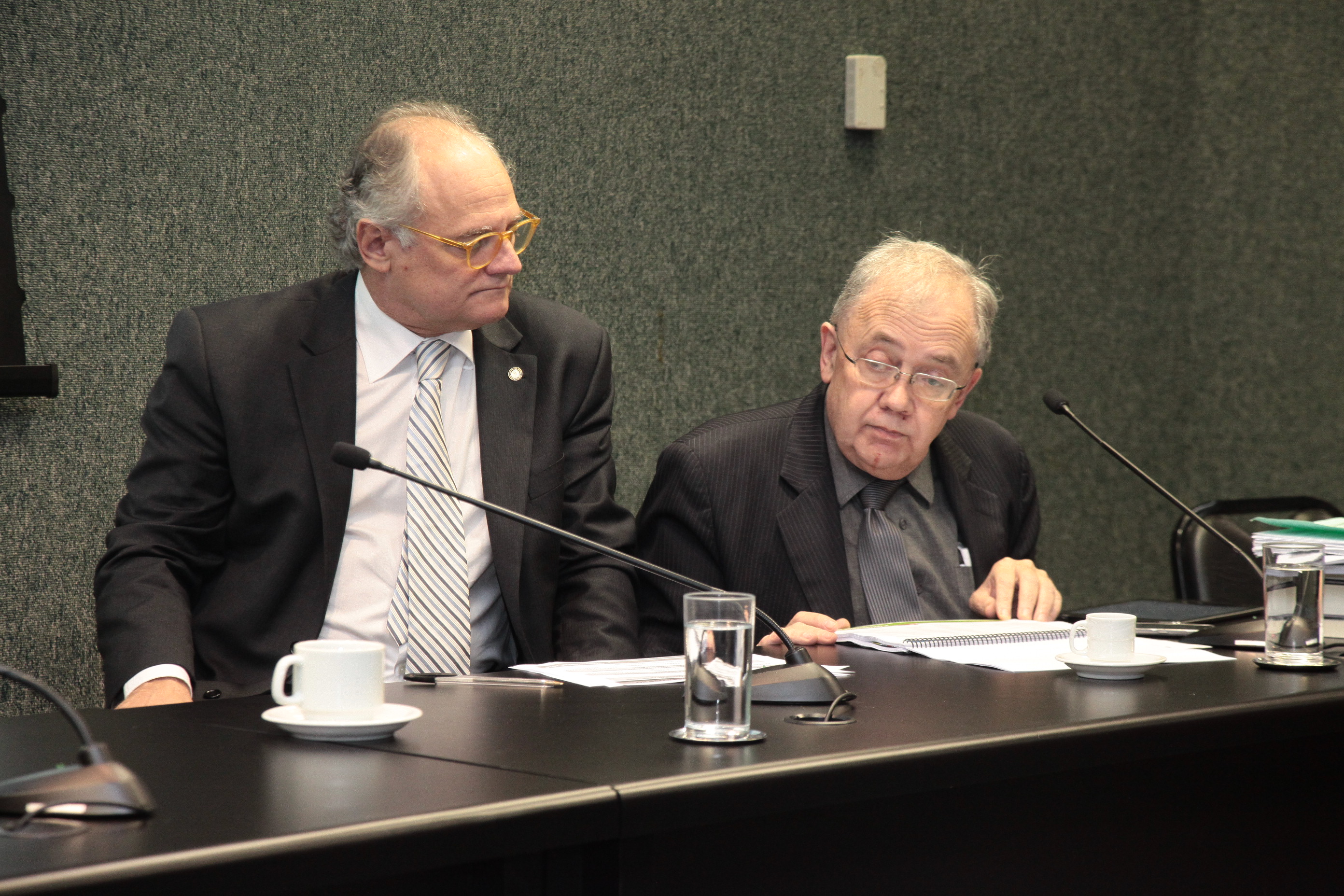 Audiência Pública para Prestação de Contas da Secretaria de Saúde - 1° Quadrimestre de 2016.