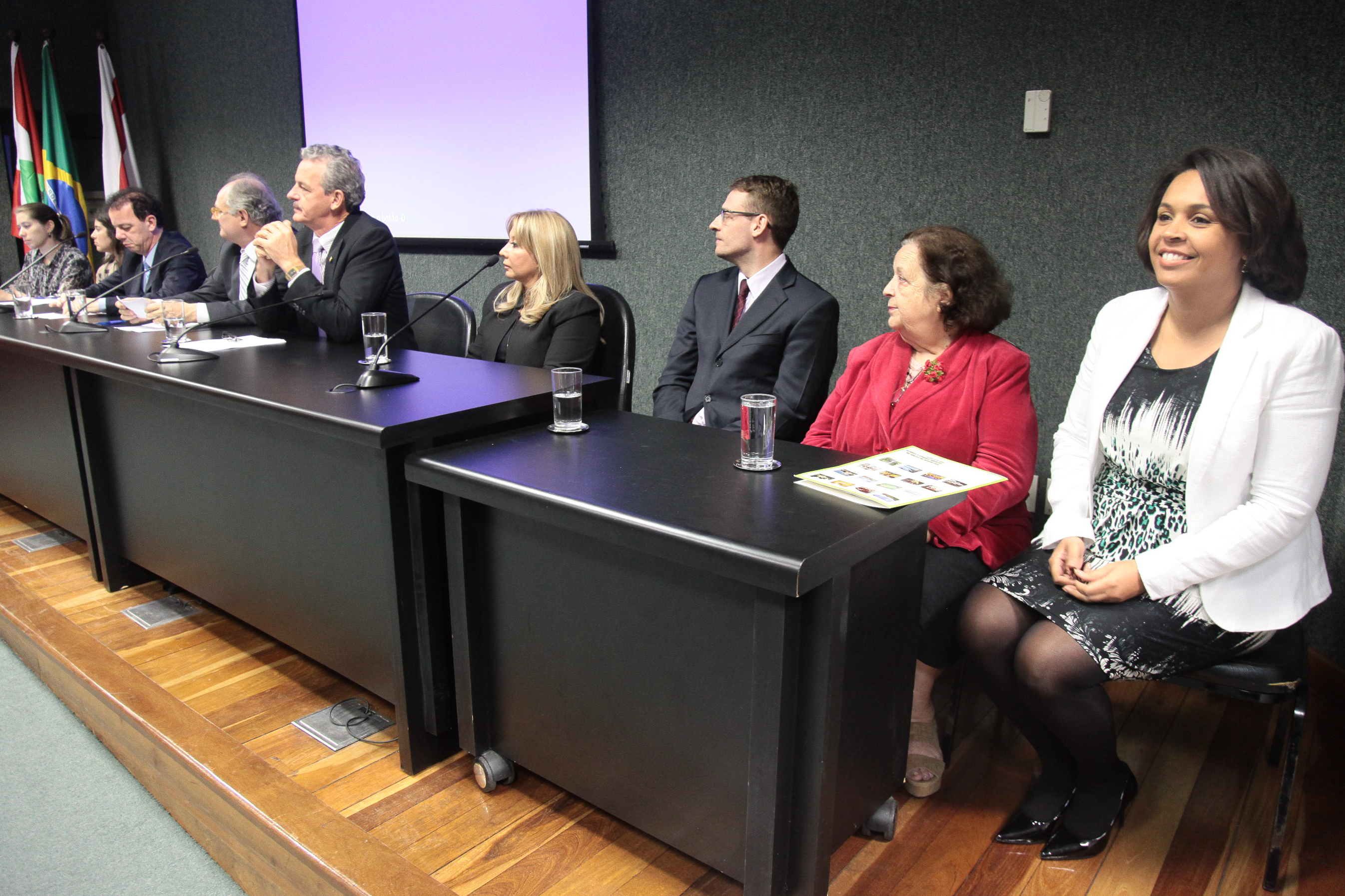 Colóquio estadual sobre o combate da violência sexual de crianças e adolescentes.
