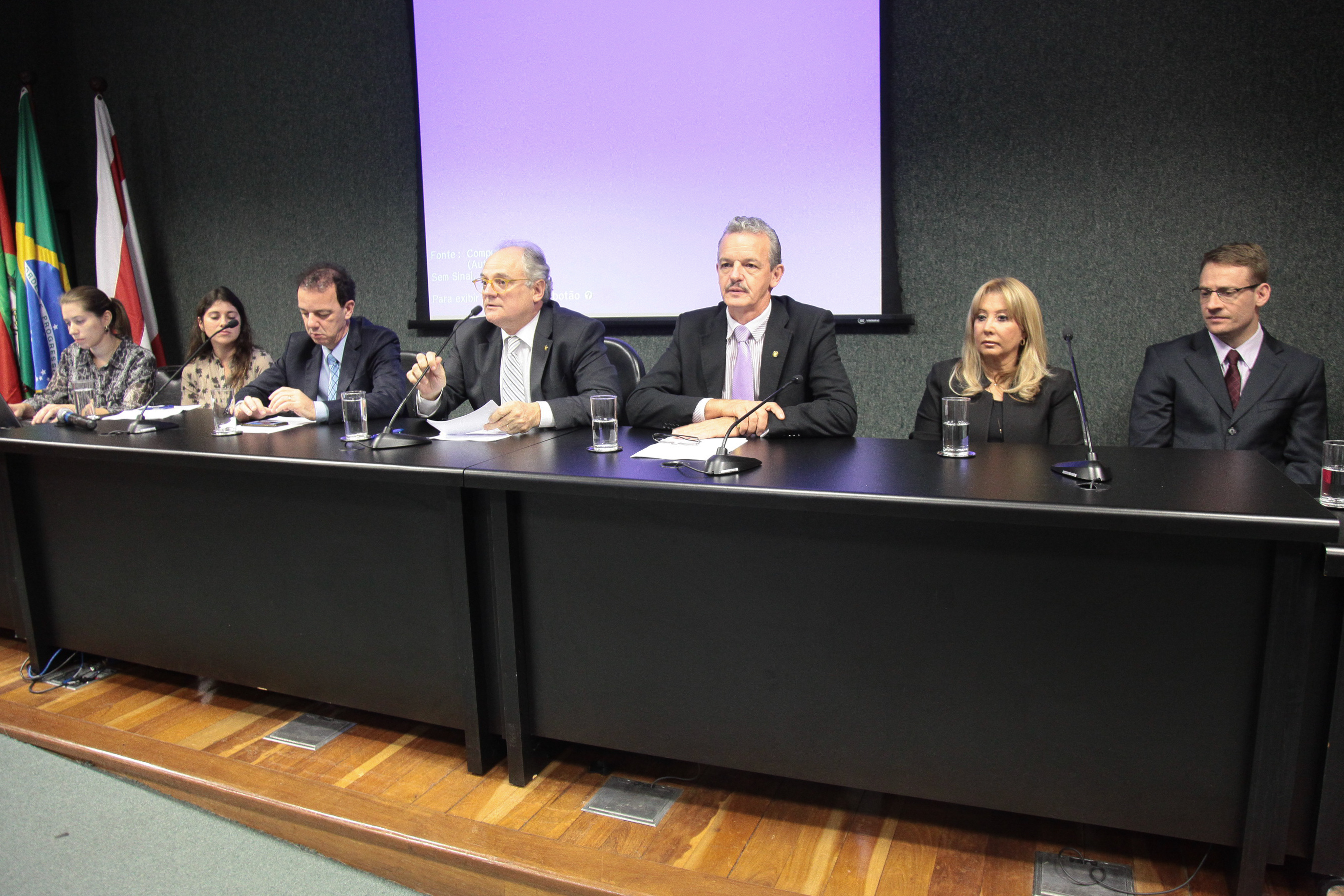 Colóquio estadual sobre o combate da violência sexual de crianças e adolescentes.