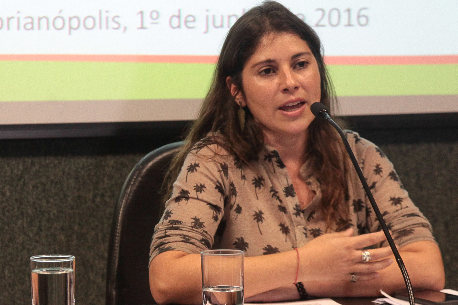Colóquio estadual sobre o combate da violência sexual de crianças e adolescentes. Lizandra Salvadori.