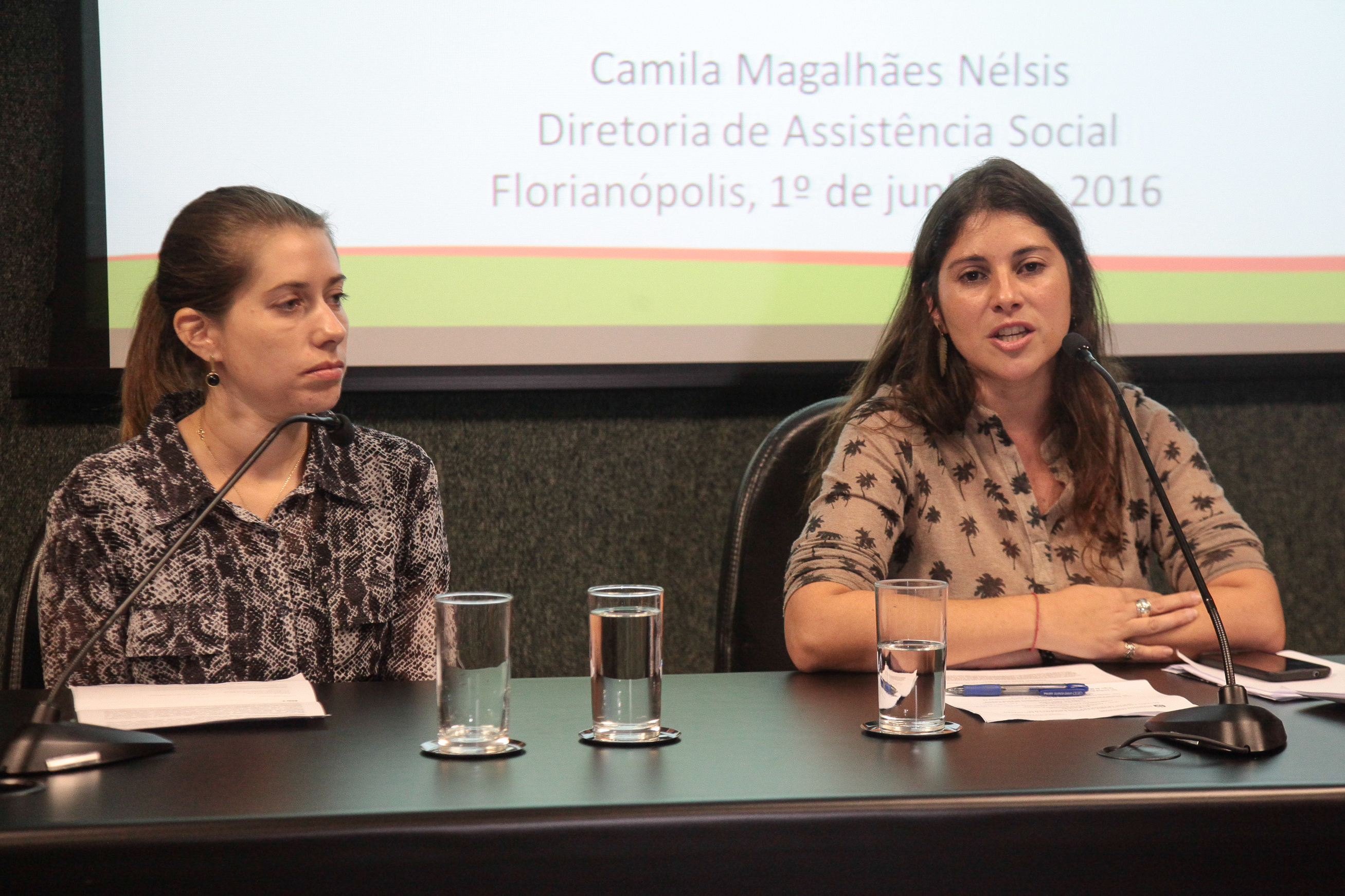 Colóquio estadual sobre o combate da violência sexual de crianças e adolescentes.