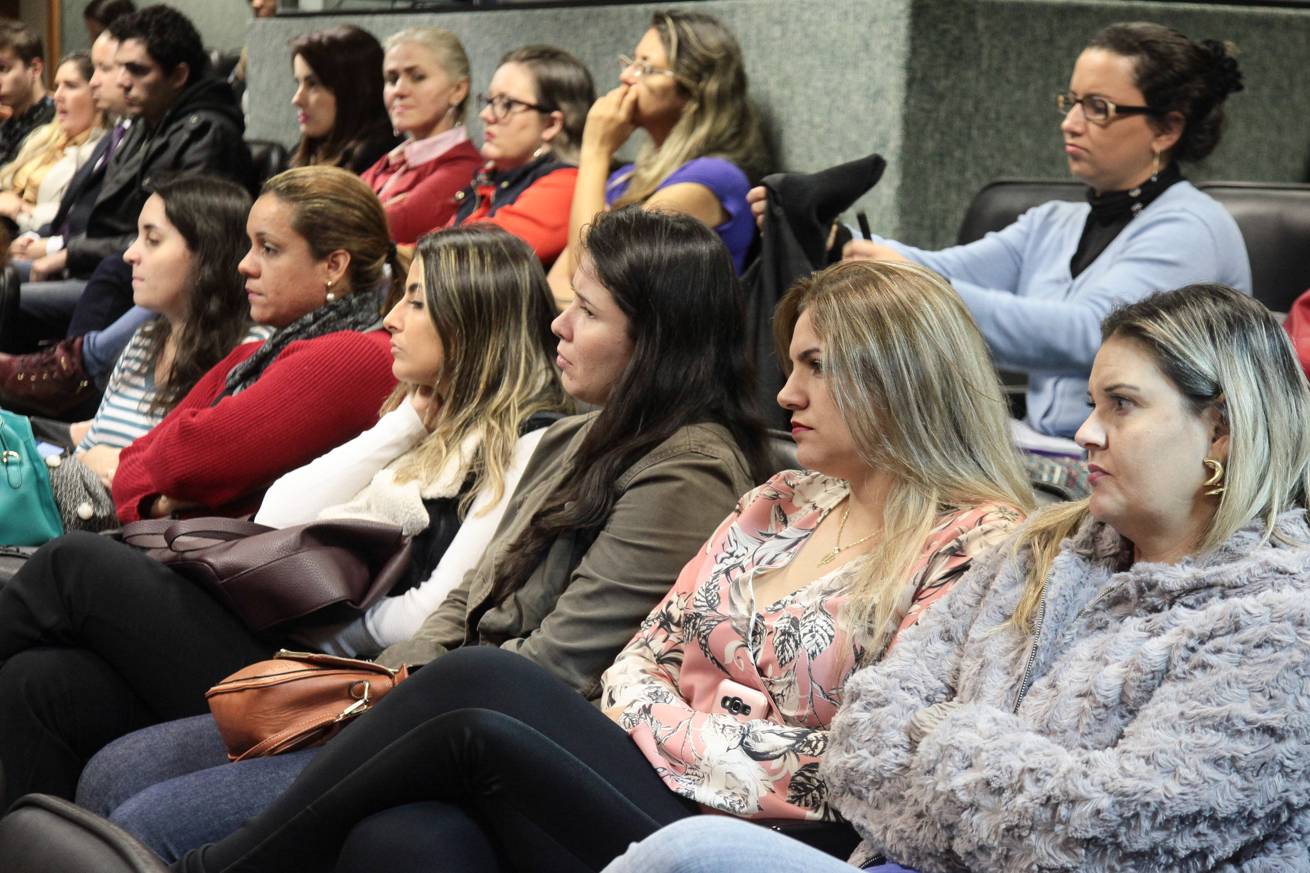 Colóquio estadual sobre o combate da violência sexual de crianças e adolescentes.