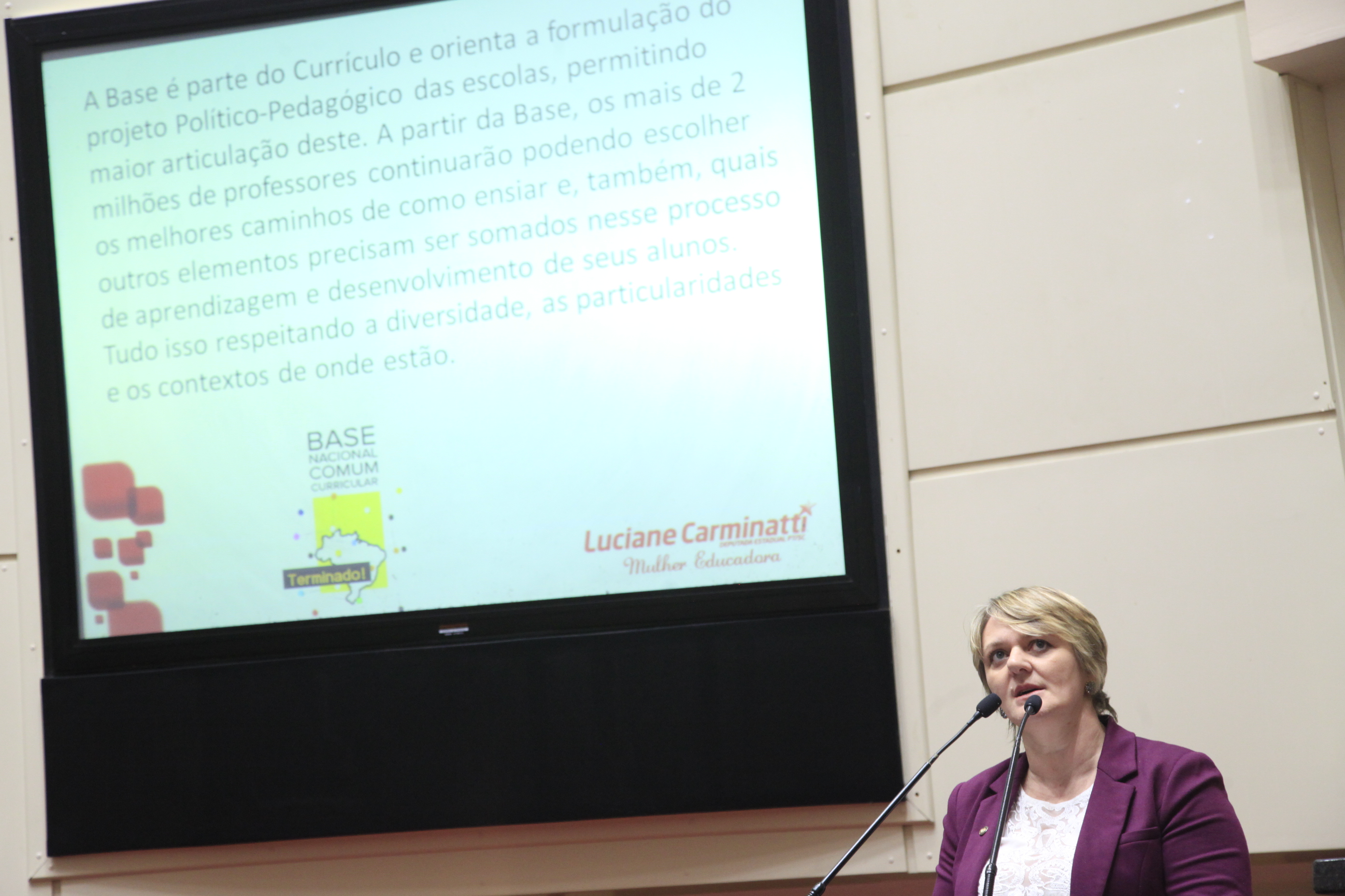 Sessão Ordinária. Deputada Luciane Carminatti (PT)