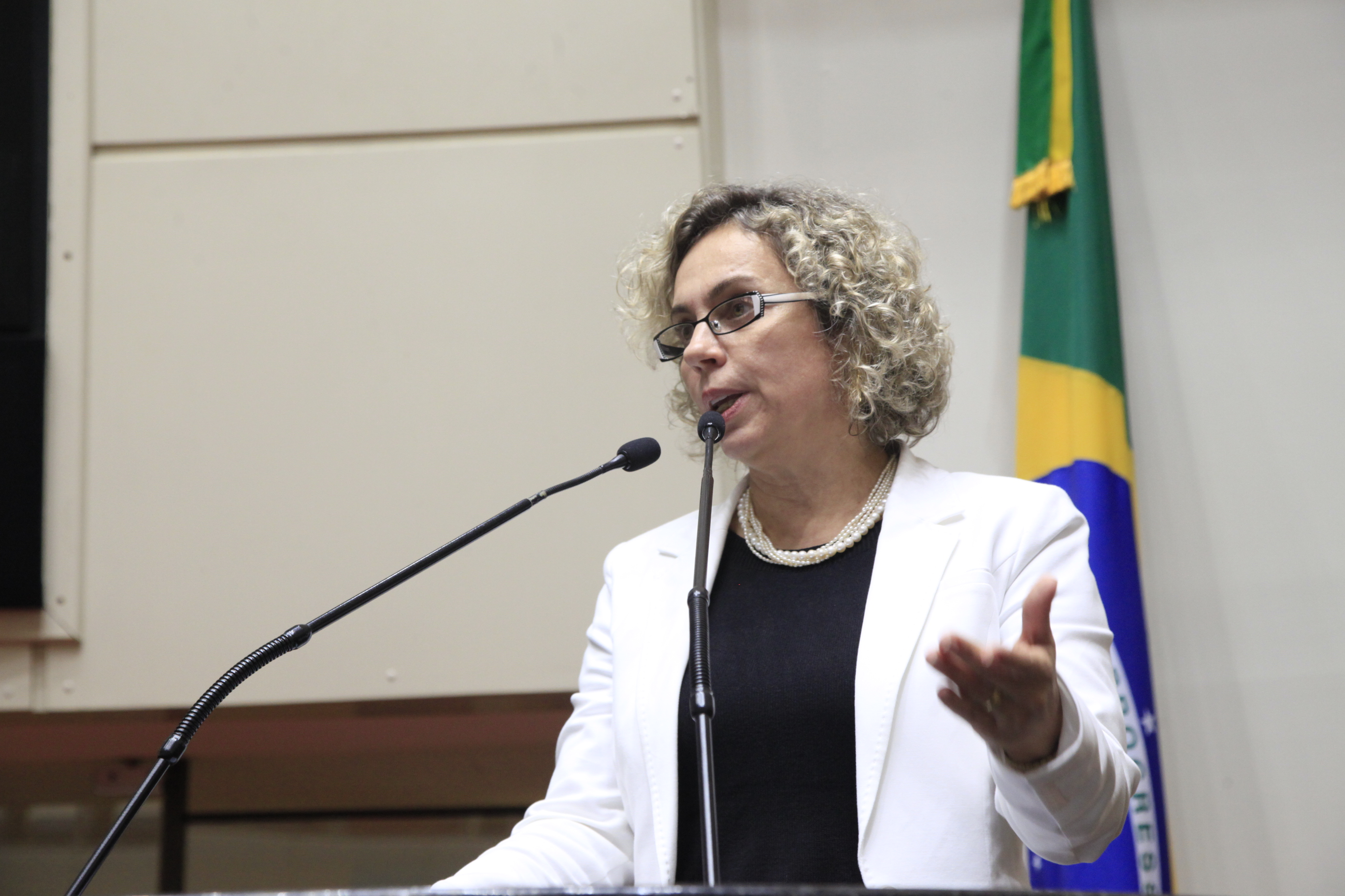 Sessão Ordinária. Deputada Ana Paula Lima (PT)