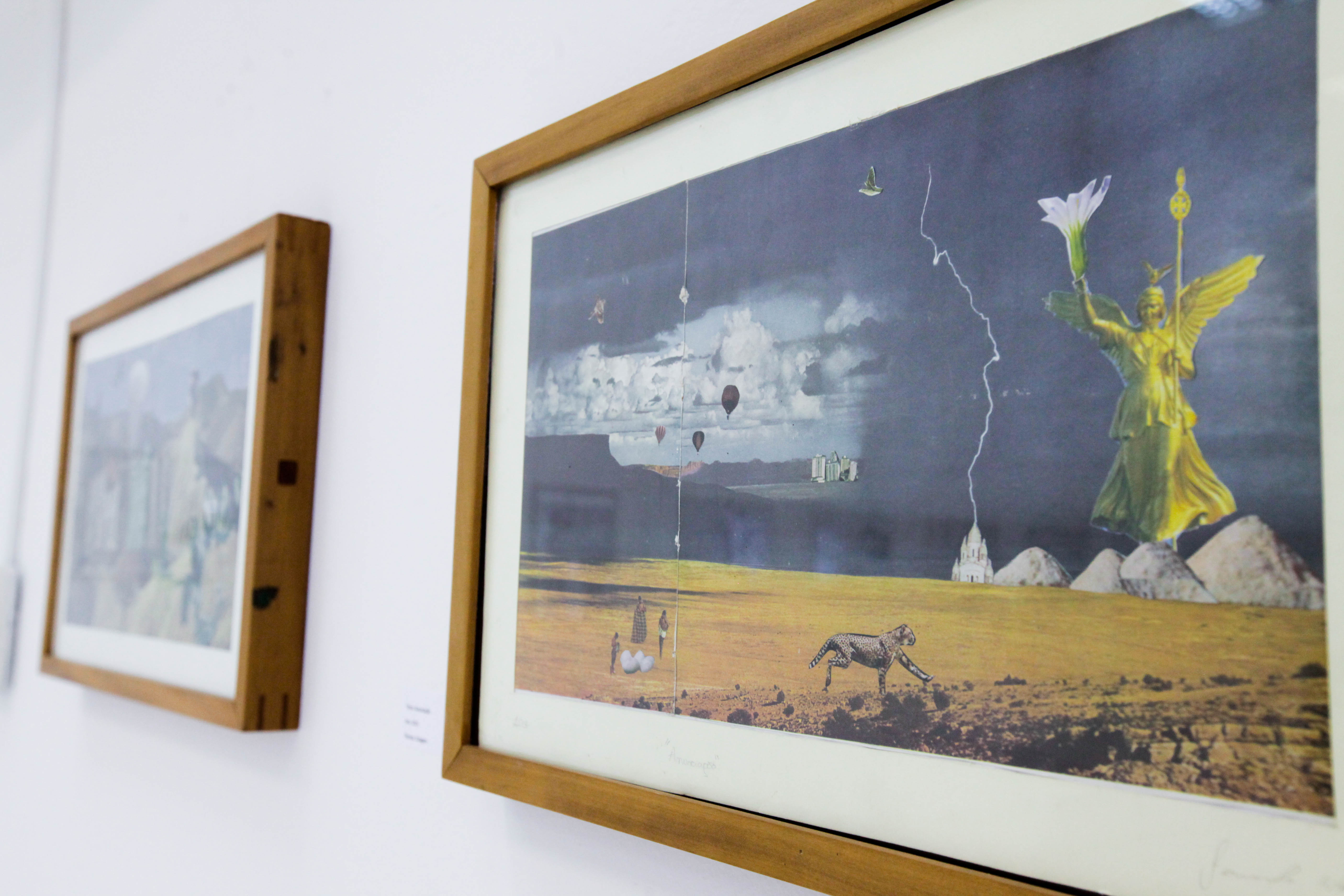 Exposição Pangéia de Fernando Weber