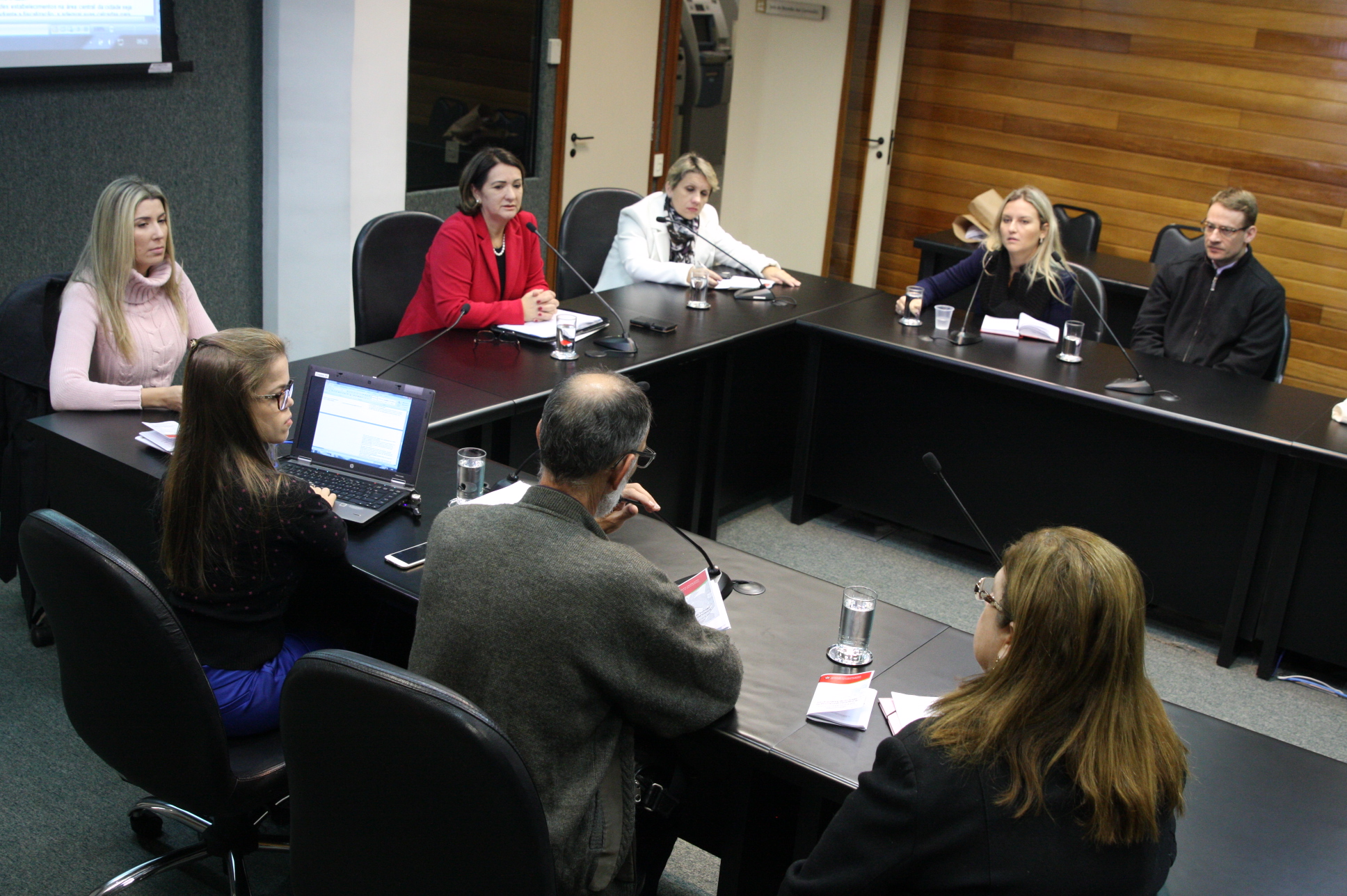 Comissão de Defesa dos Direitos da Pessoa com Deficiência. Foto: Yuri Santos / Agência AL