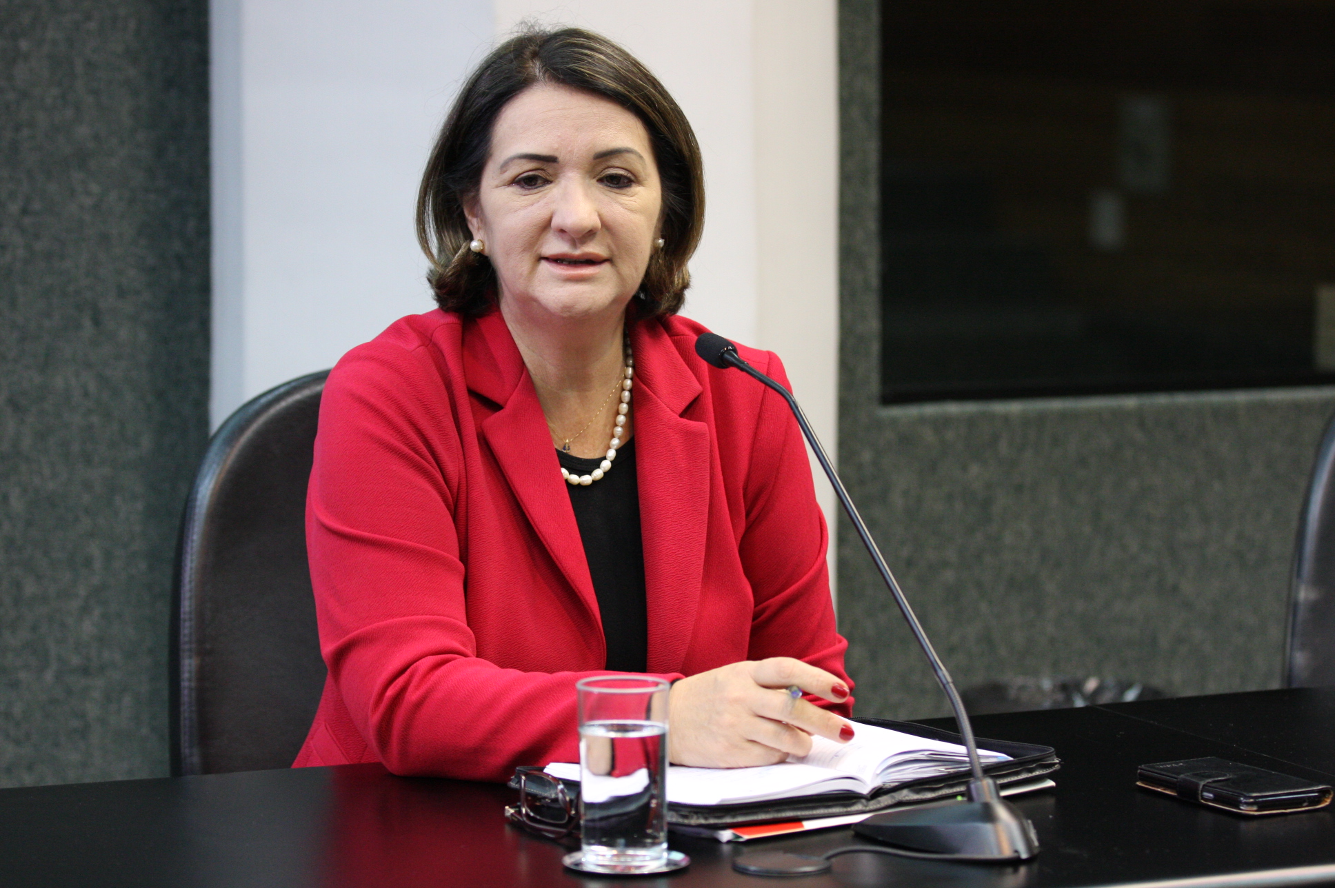 Comissão de Defesa dos Direitos da Pessoa com Deficiência. Foto: Yuri Santos / Agência AL