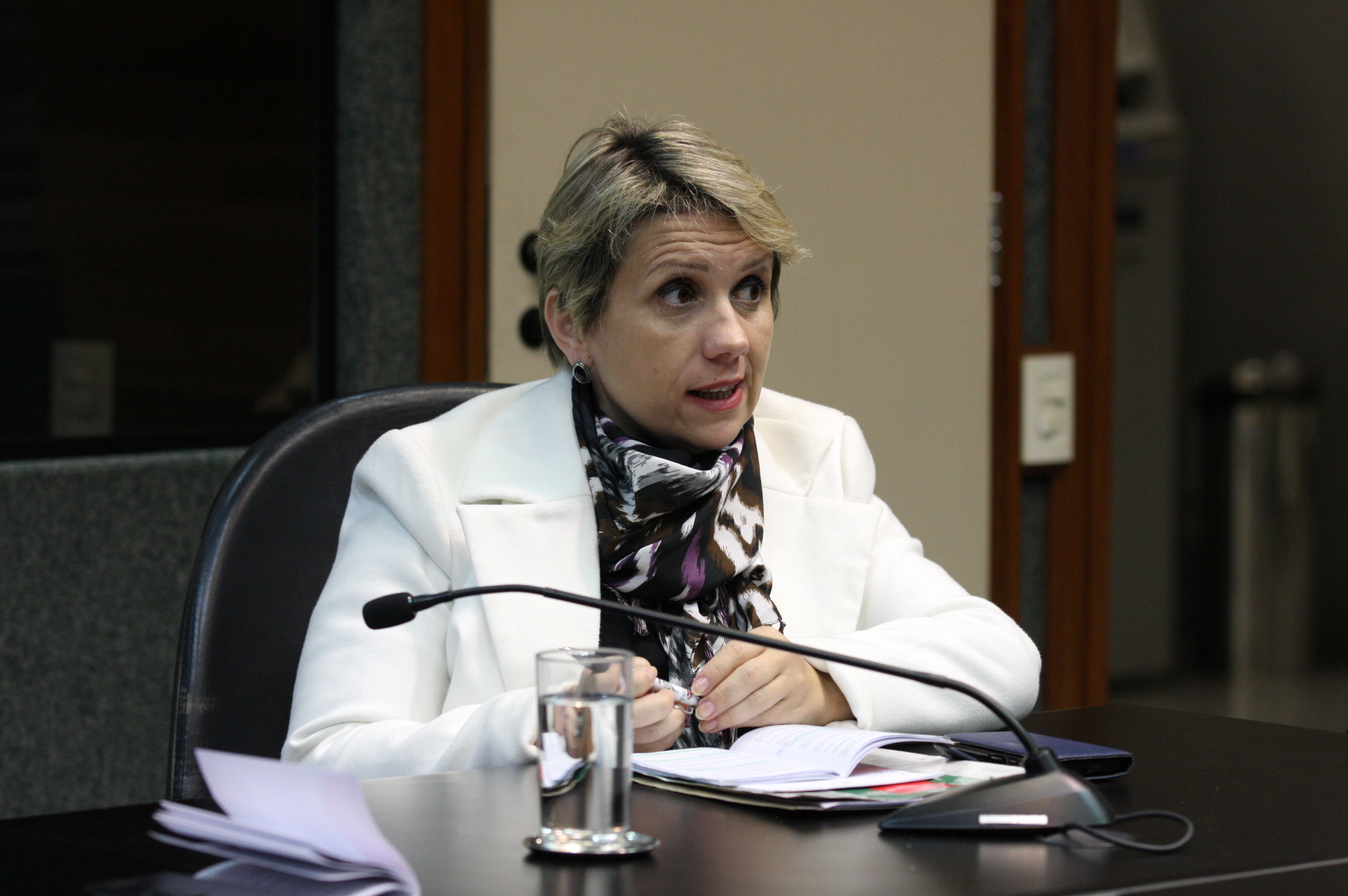 Comissão de Defesa dos Direitos da Pessoa com Deficiência. Foto: Yuri Santos / Agência AL