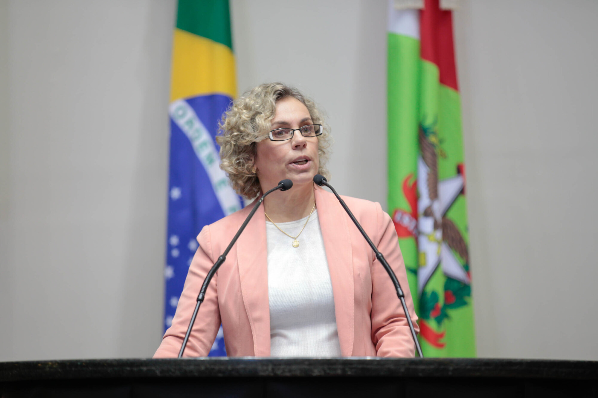 Deputada Ana Paula Lima