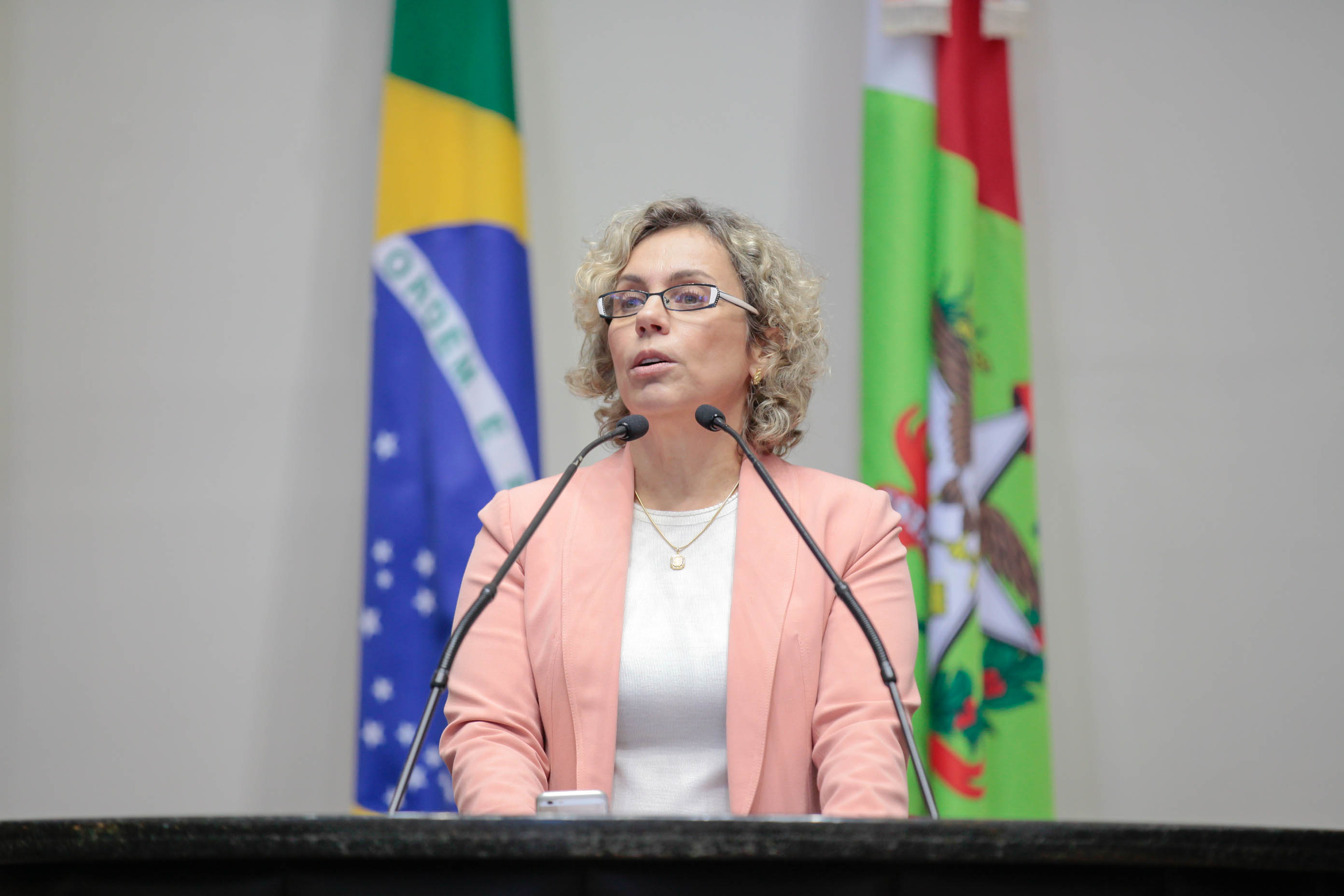 Deputada Ana Paula Lima (PT) em Sessão Plenária