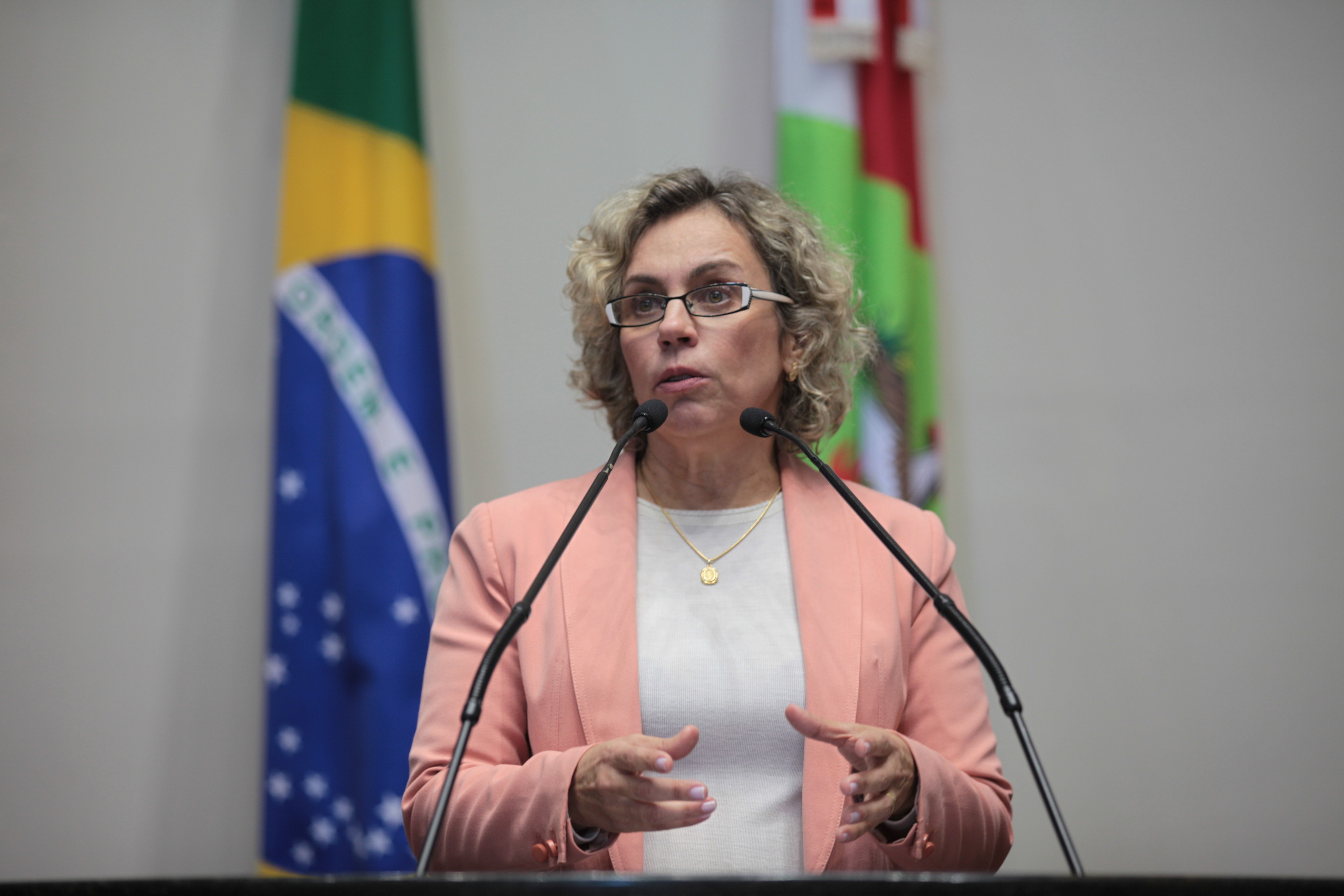 Deputada Ana Paula Lima (PT) - Sessão Ordinária. Foto: Solon Soares