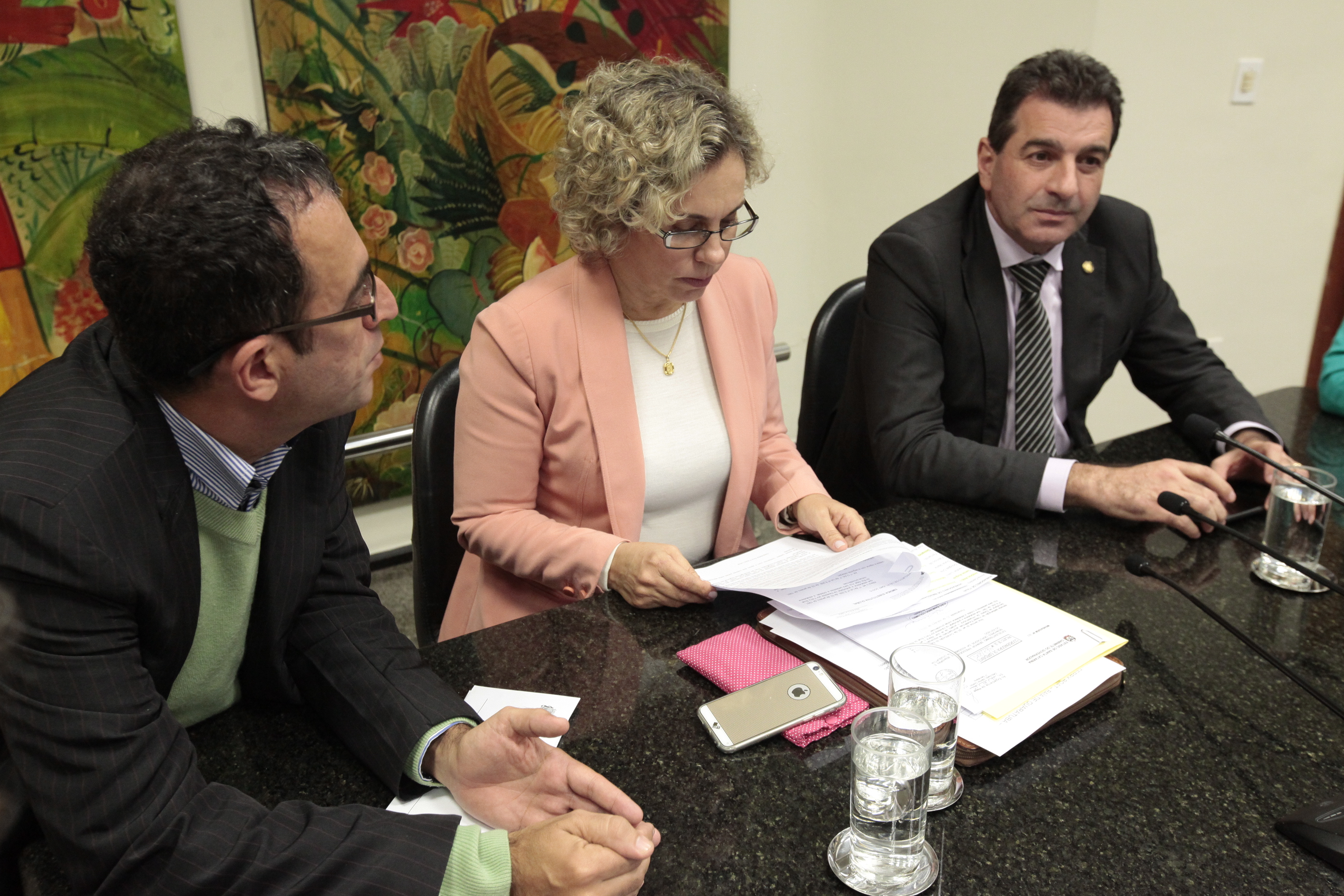 Reunião sobre Ferry Boat Itajaí/Navegantes.